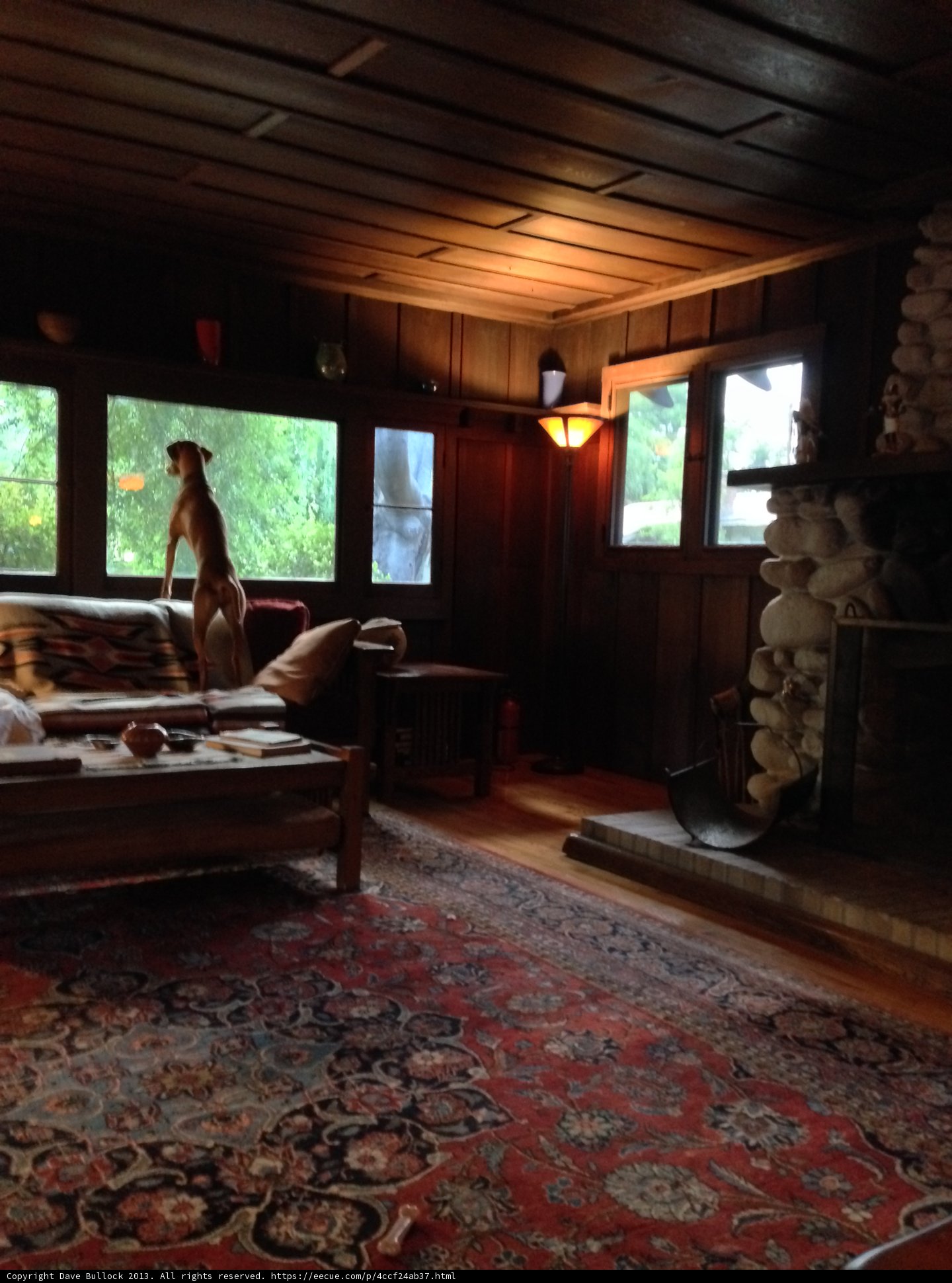 Cozy Living Room with Furry Friend