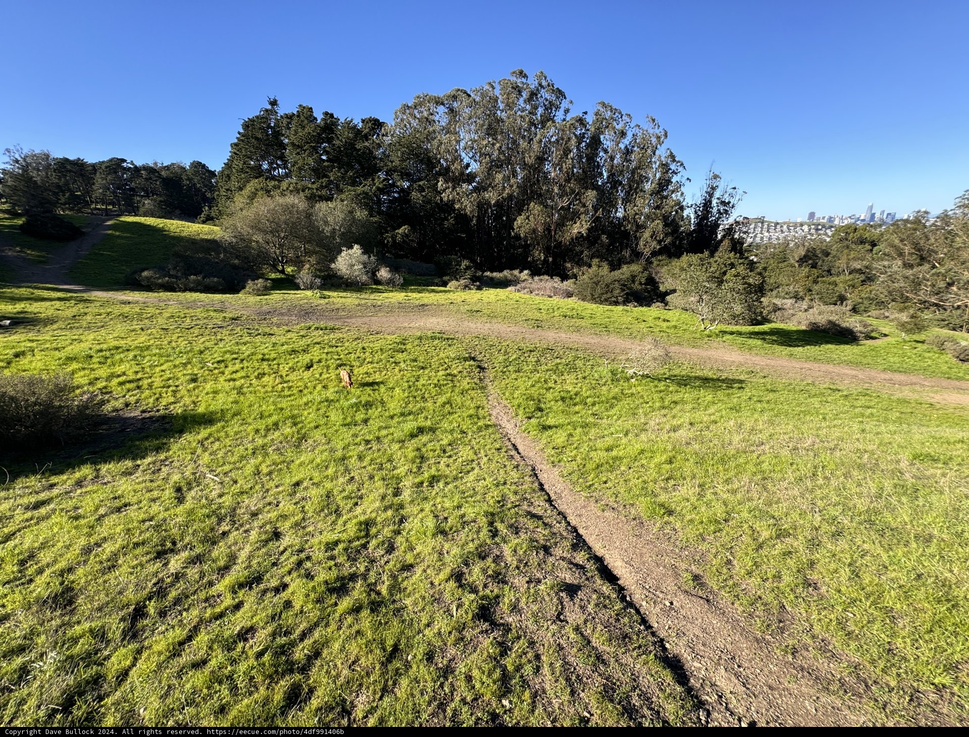 Aerial View of a Country Trail