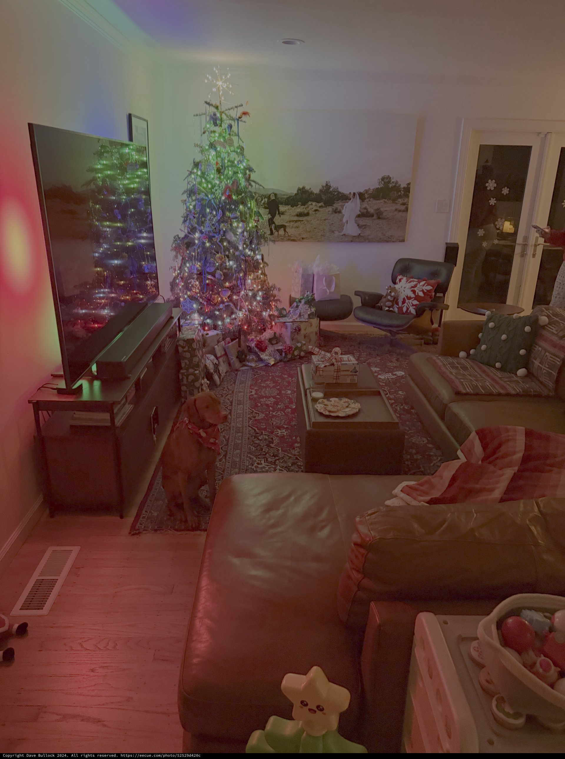Cozy Christmas Morning Living Room Scene