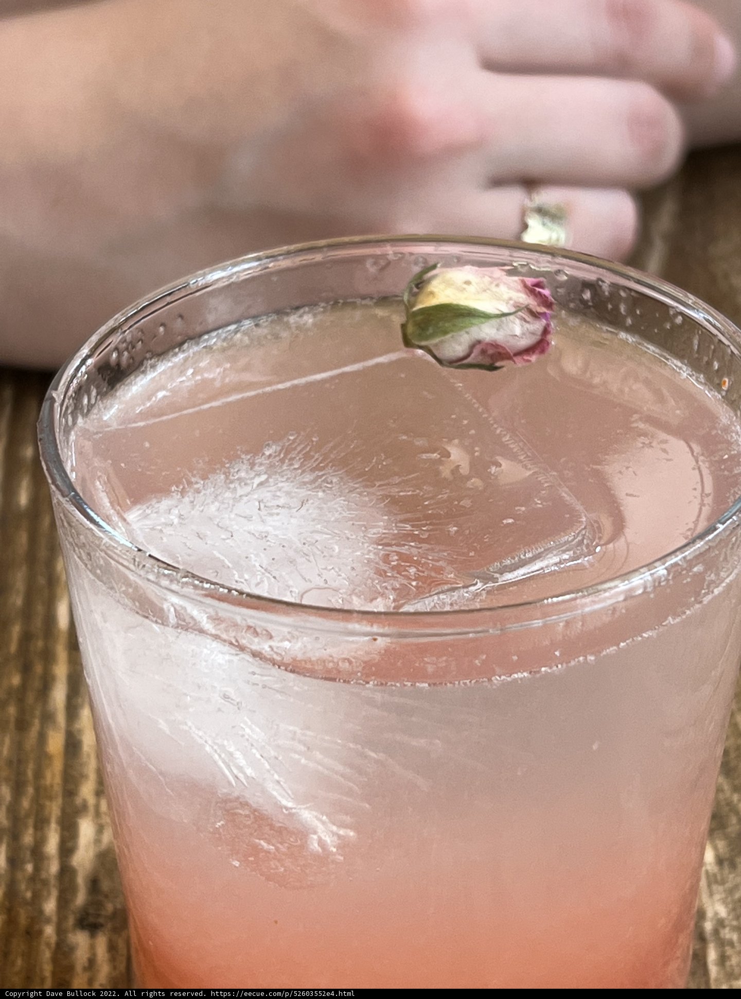 Rose Lemonade Cocktail