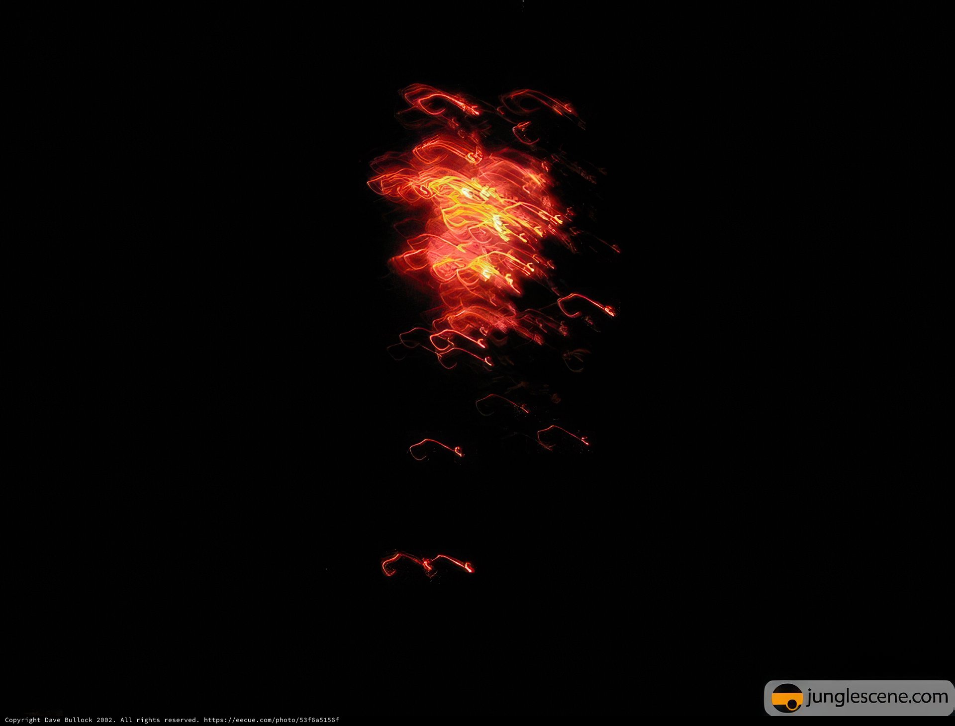 Fireworks Spectacular in the Night Sky