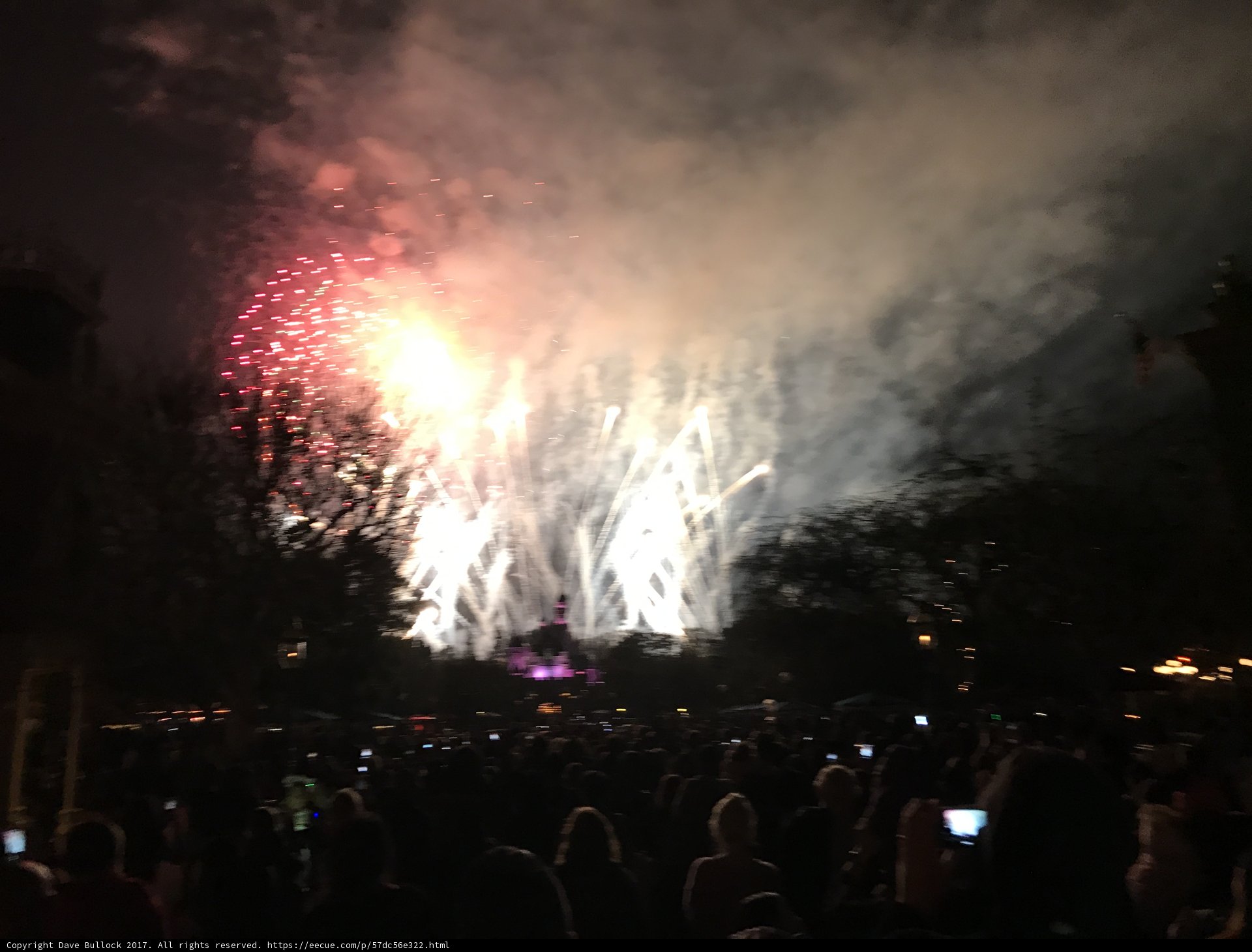 Celebratory Fireworks at Disneyland Park