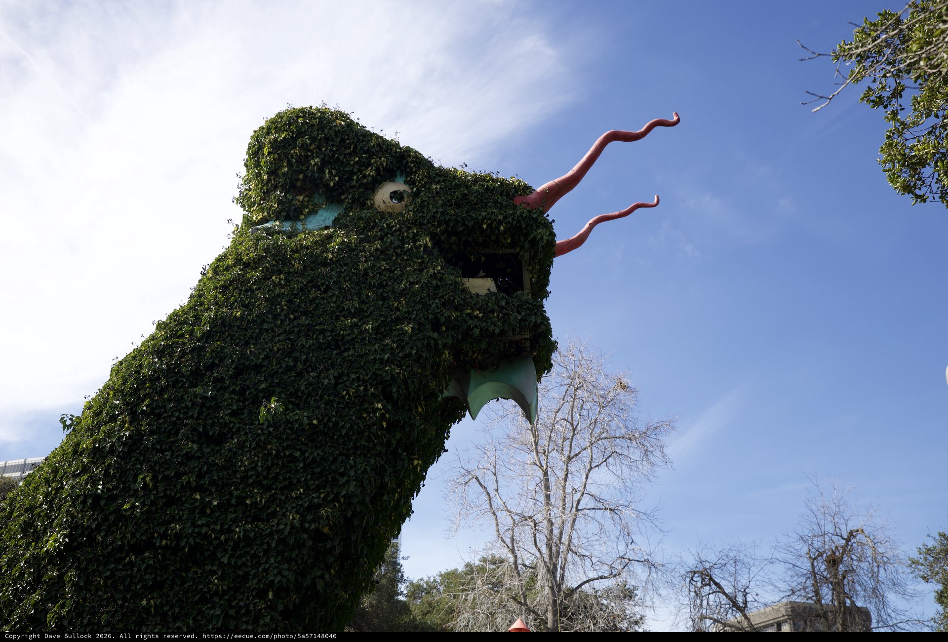 Ivy-Covered Dragon Topiary Looms Against Blue Sky