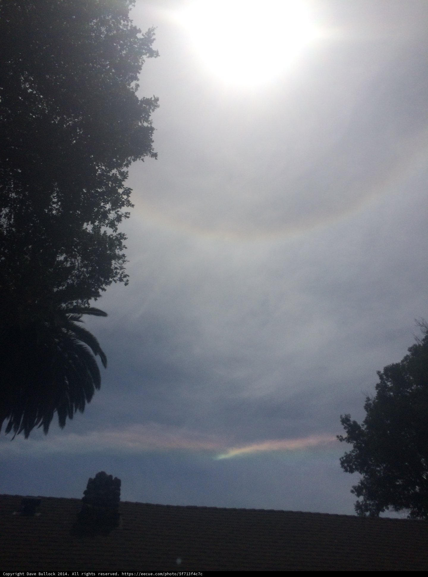 Radiant Rainbow Halo