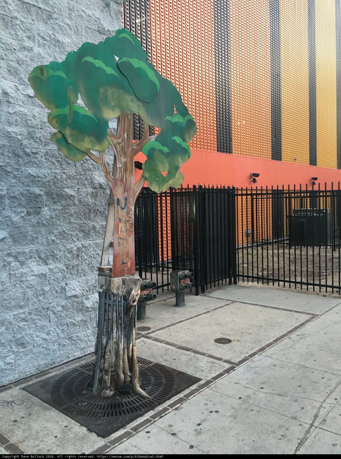 Green Leafed Tree on a Sidewalk in LA