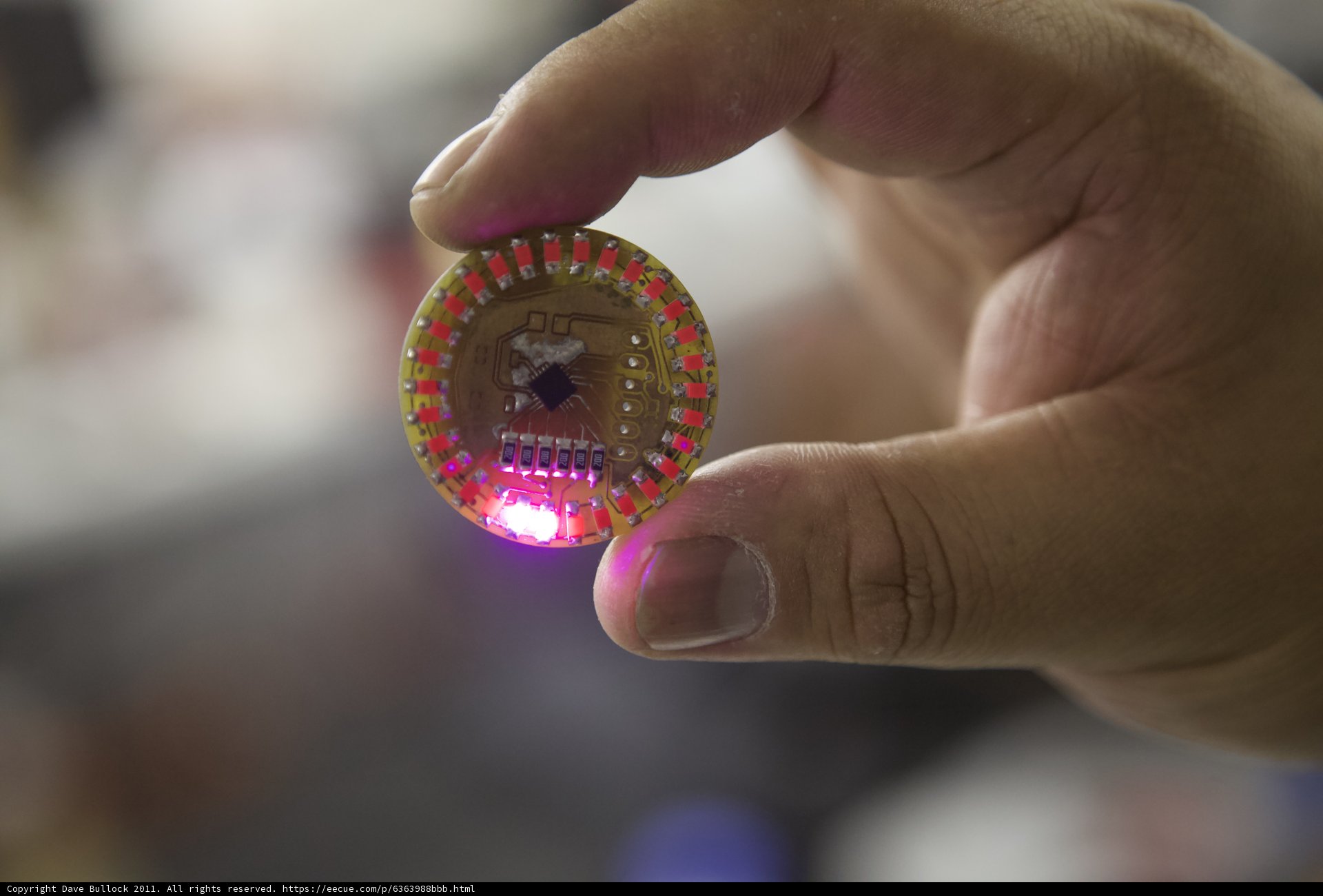 Illuminating the Future