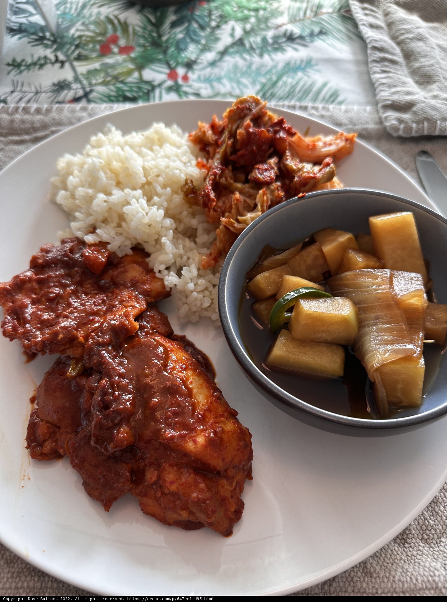 A Delicious Plate of Rice, Meat, and Veggies (Food Presentation)