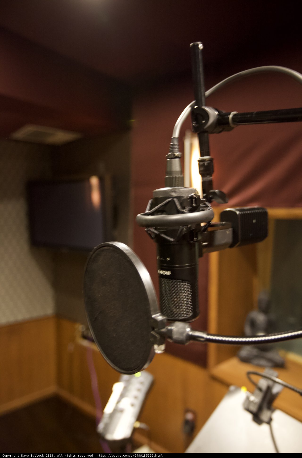 Studio Microphone in Wooden Surroundings