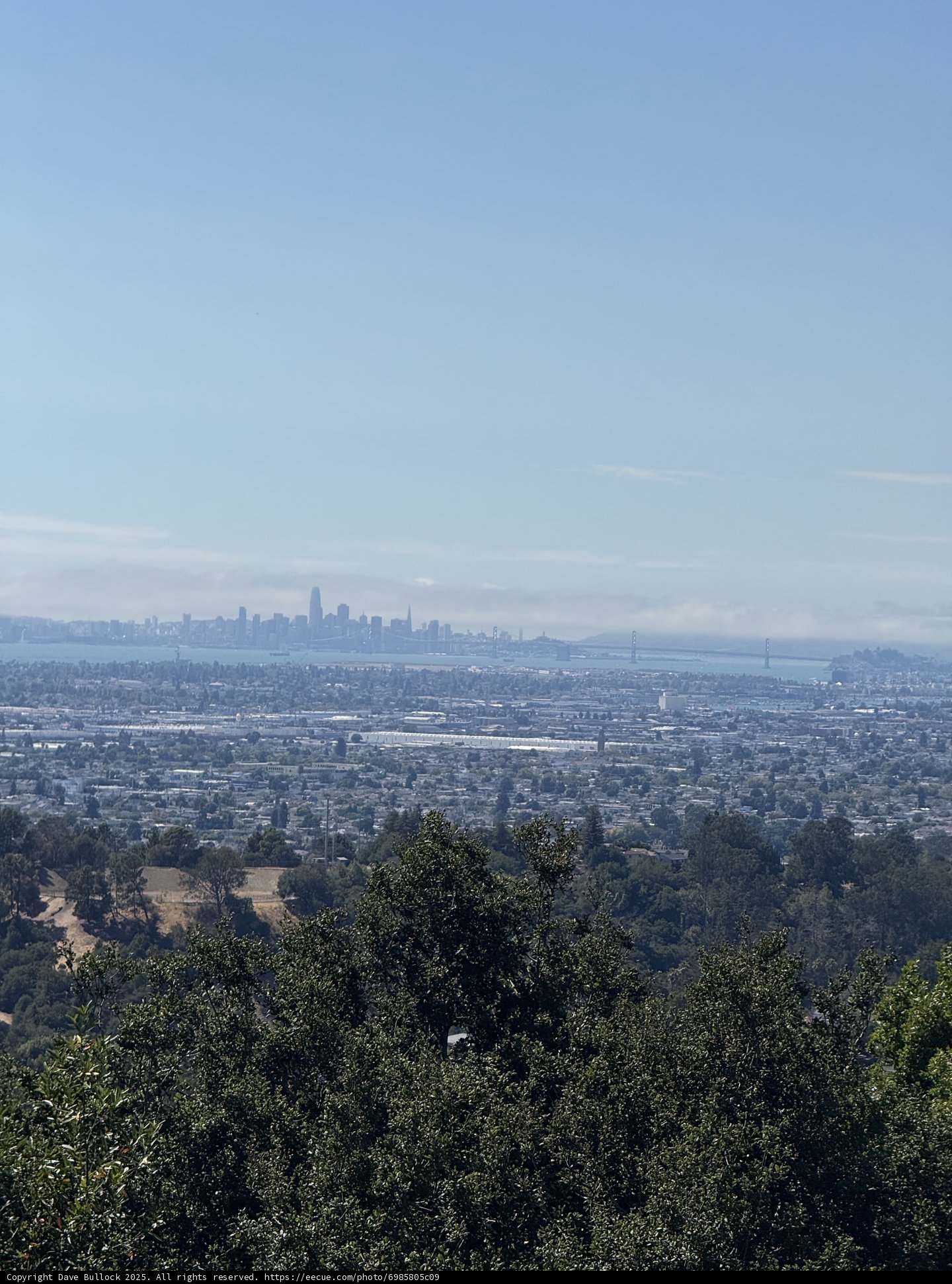 Oakland Horizons