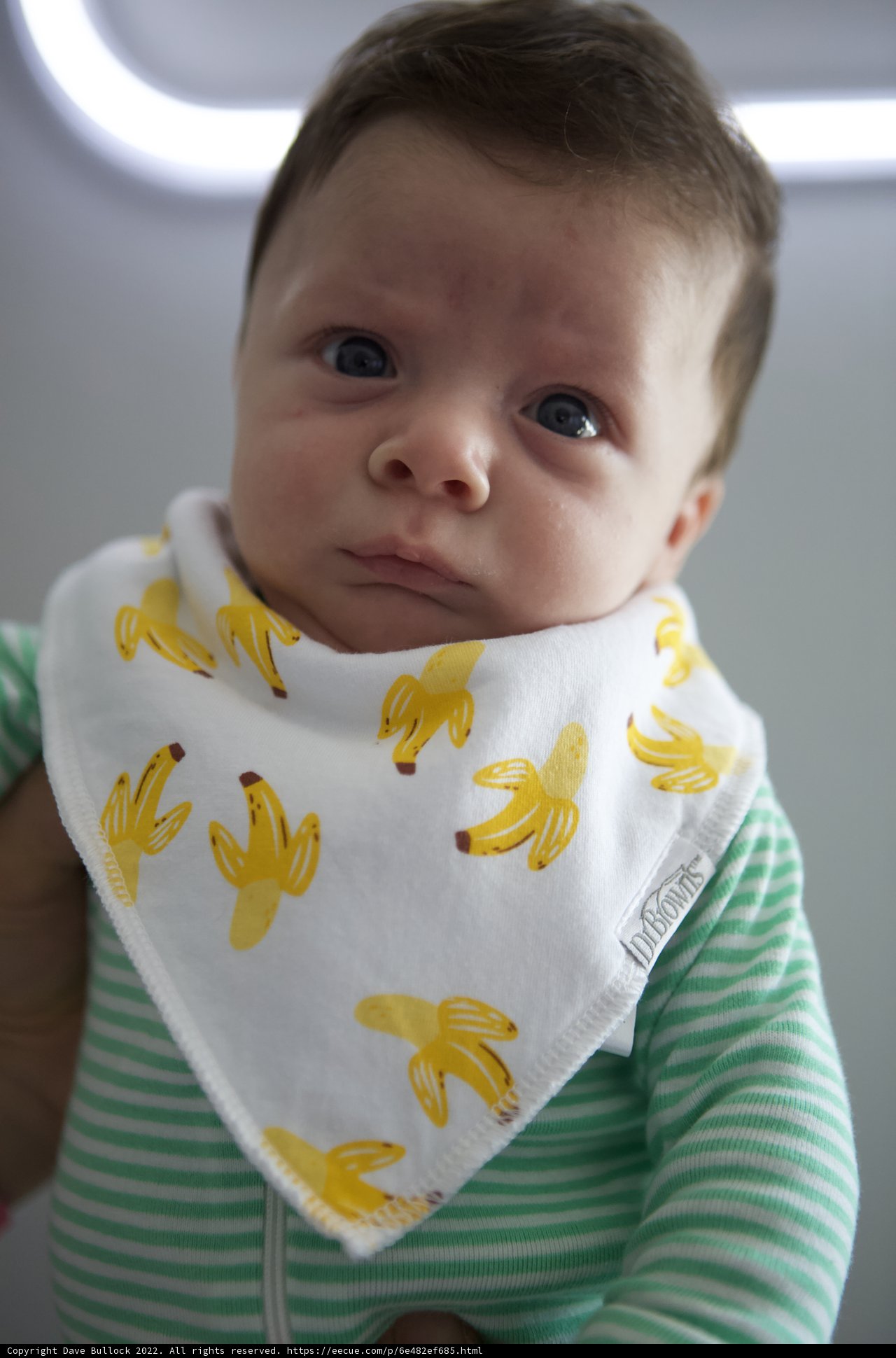 Banana Bib Baby