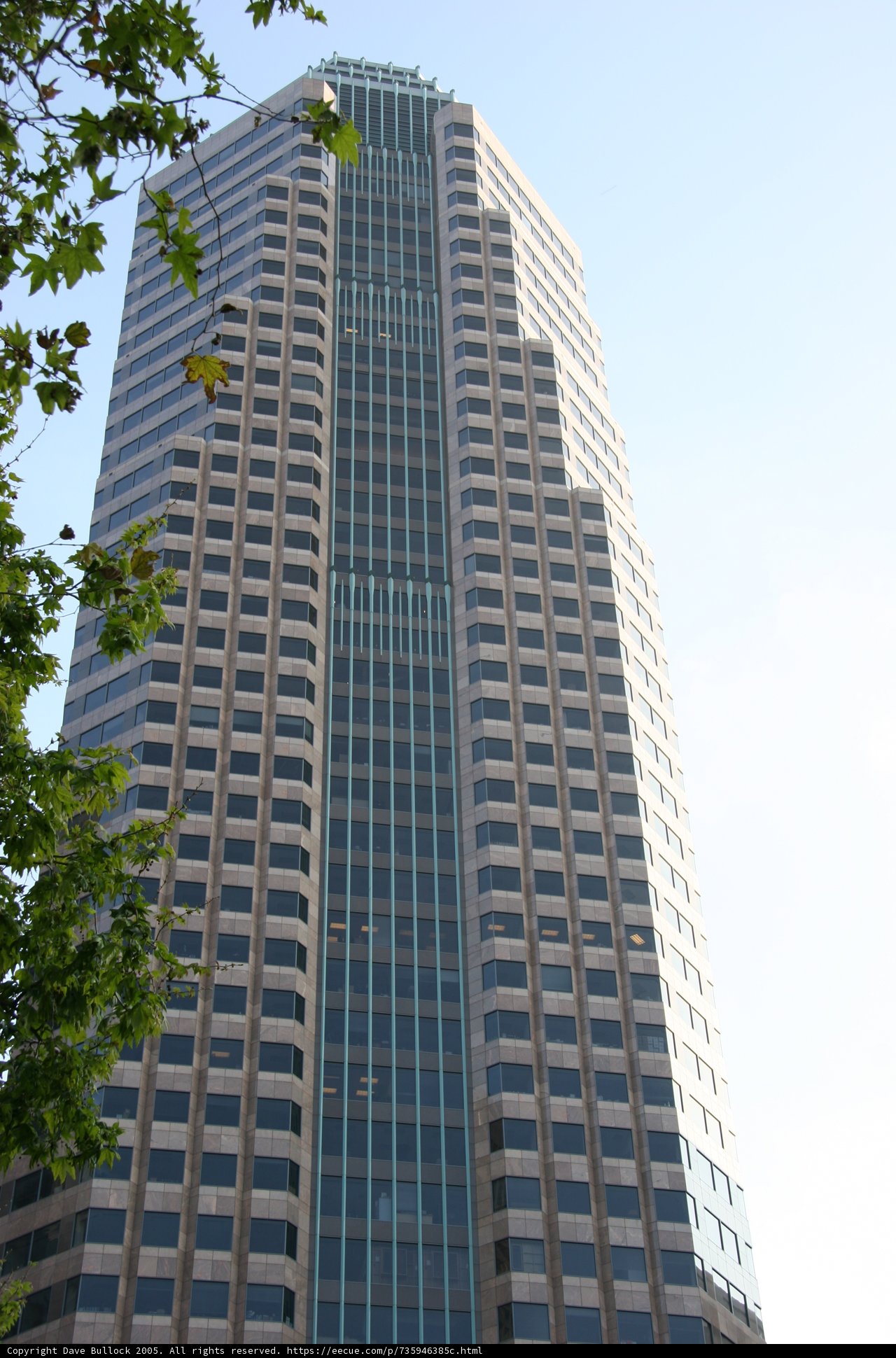 Towering Over the City