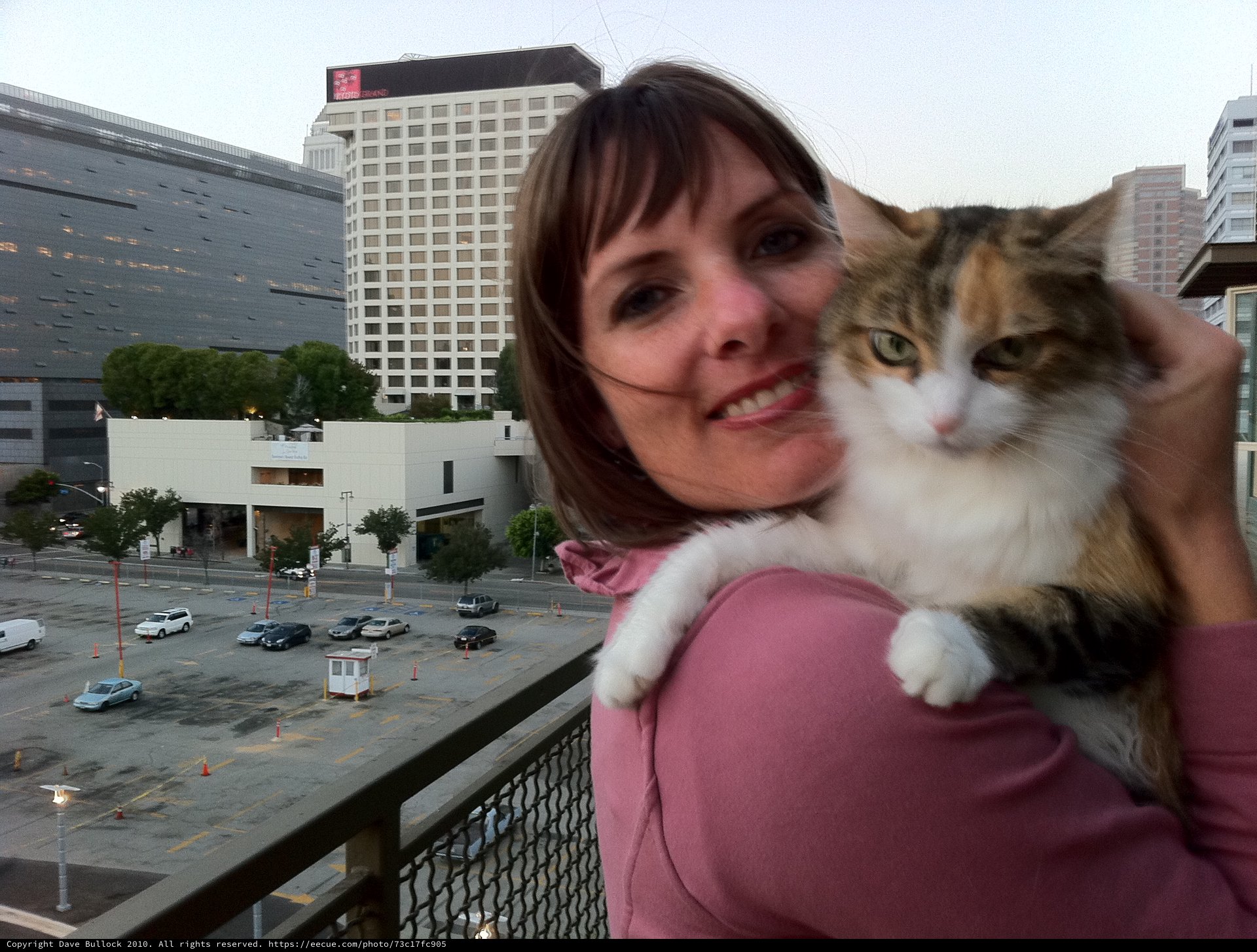 Woman and Calico Cat on Urban Balcony at Dusk