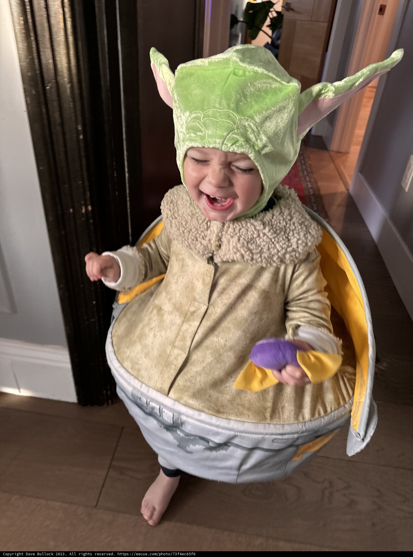 Wesley's Jubilant Halloween