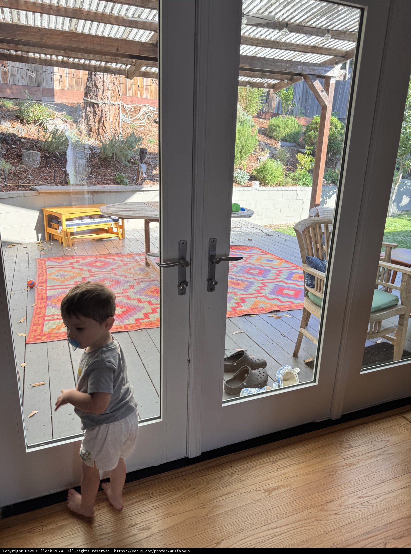 Curiosity at the Door