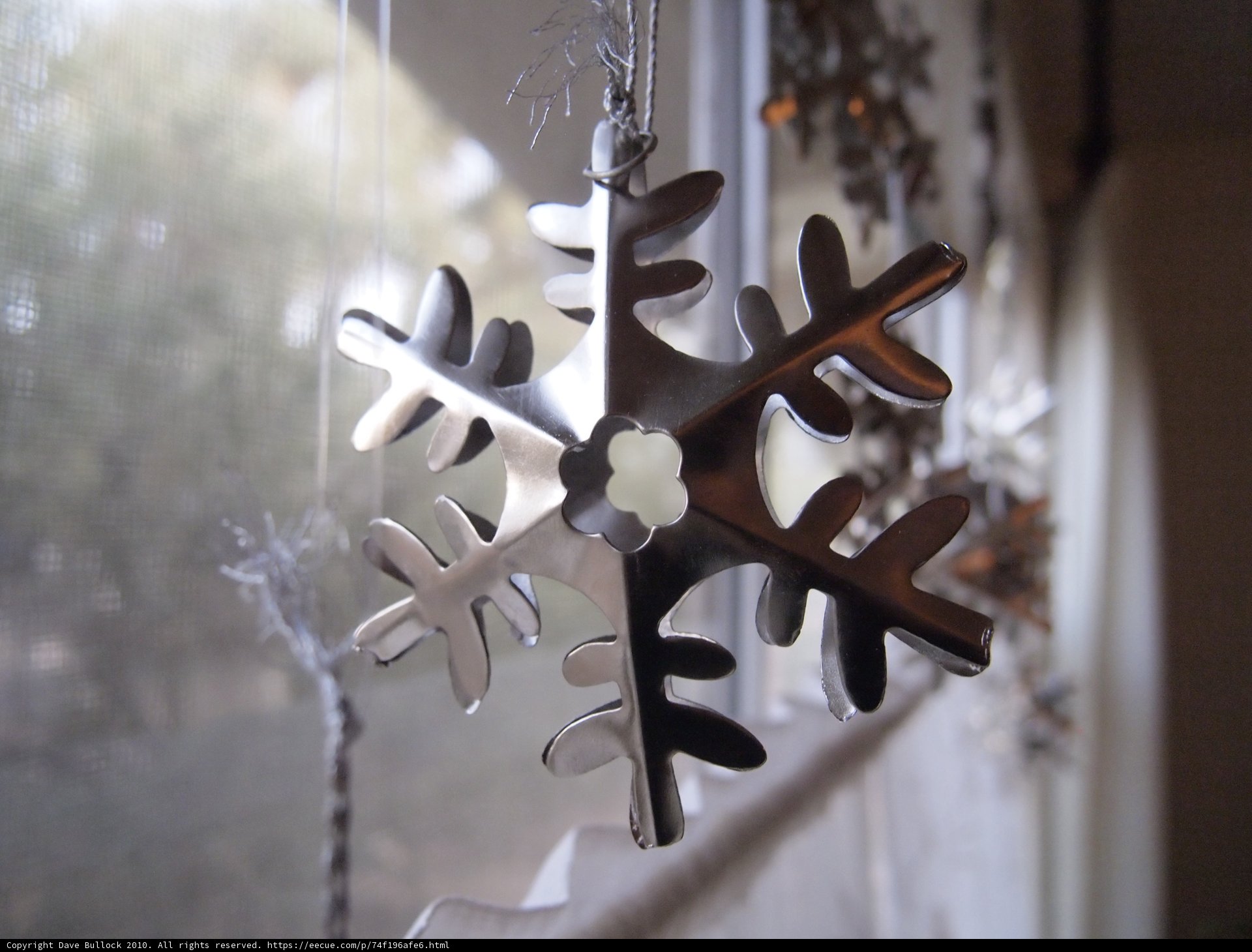 Winter's Beauty on Display