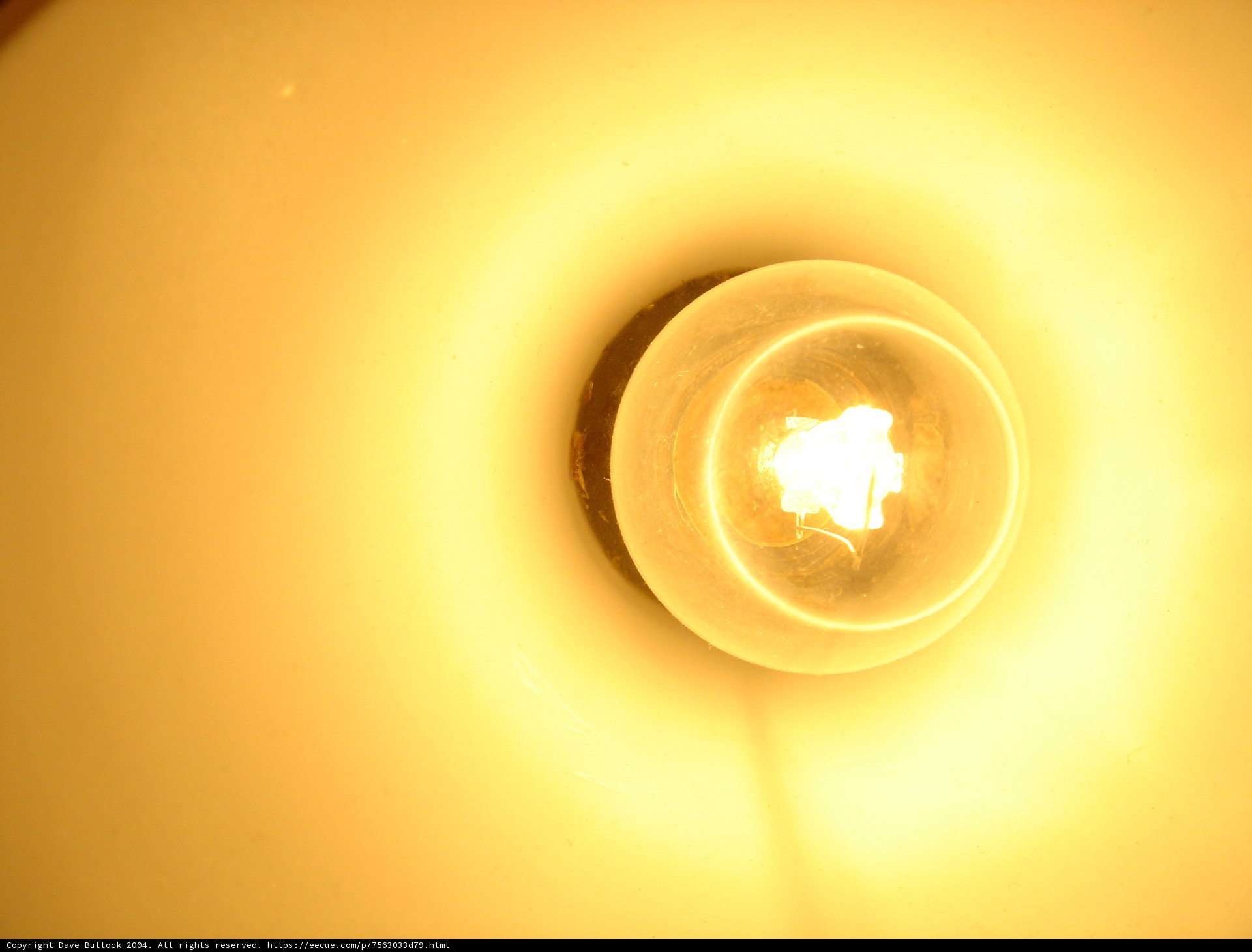 Illuminating Wall Fixture