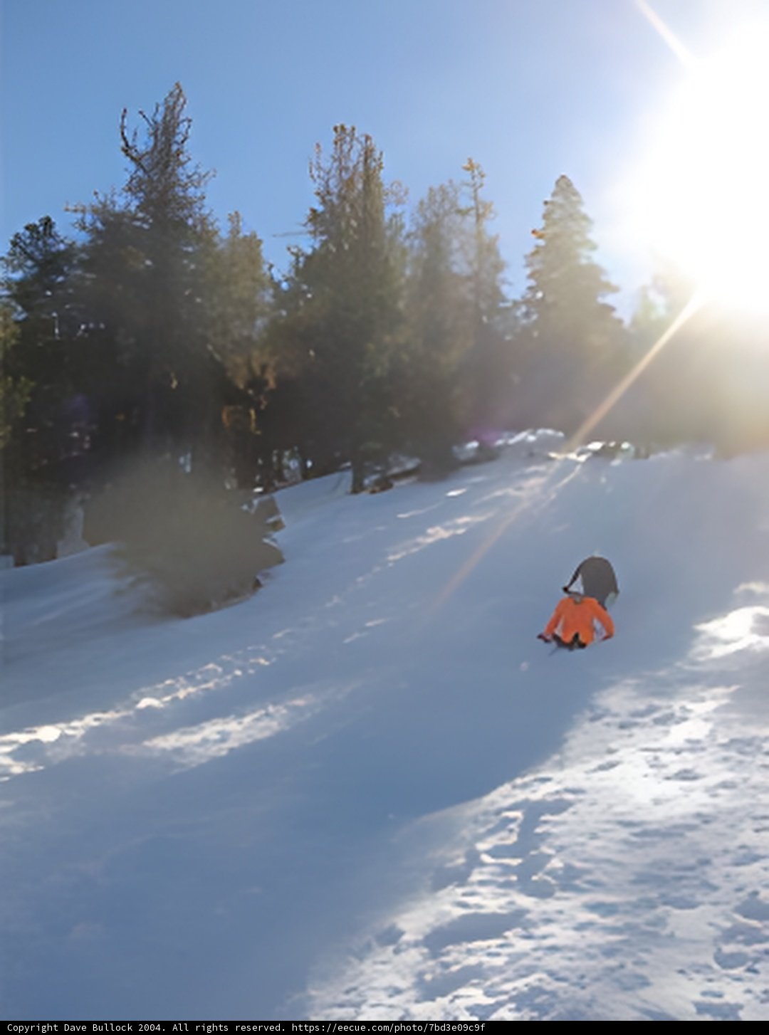 Wintertime Fun