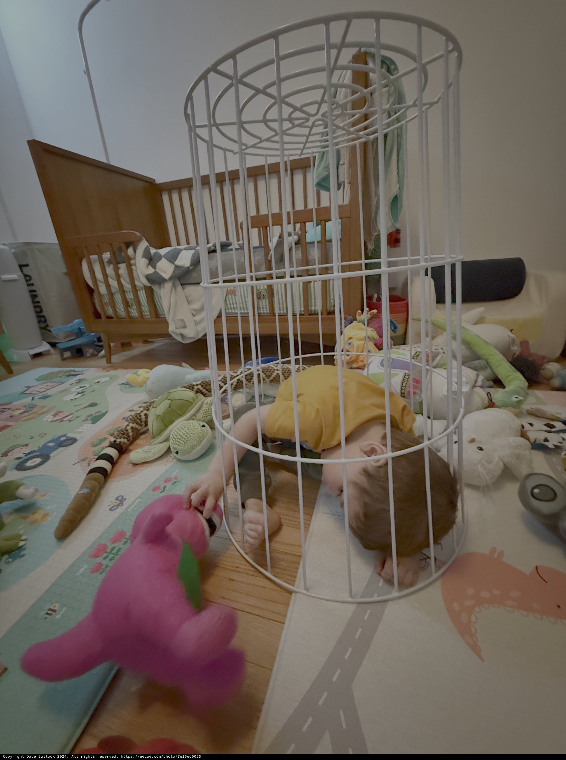 Baby Playing Inside White Wire Cage Toy