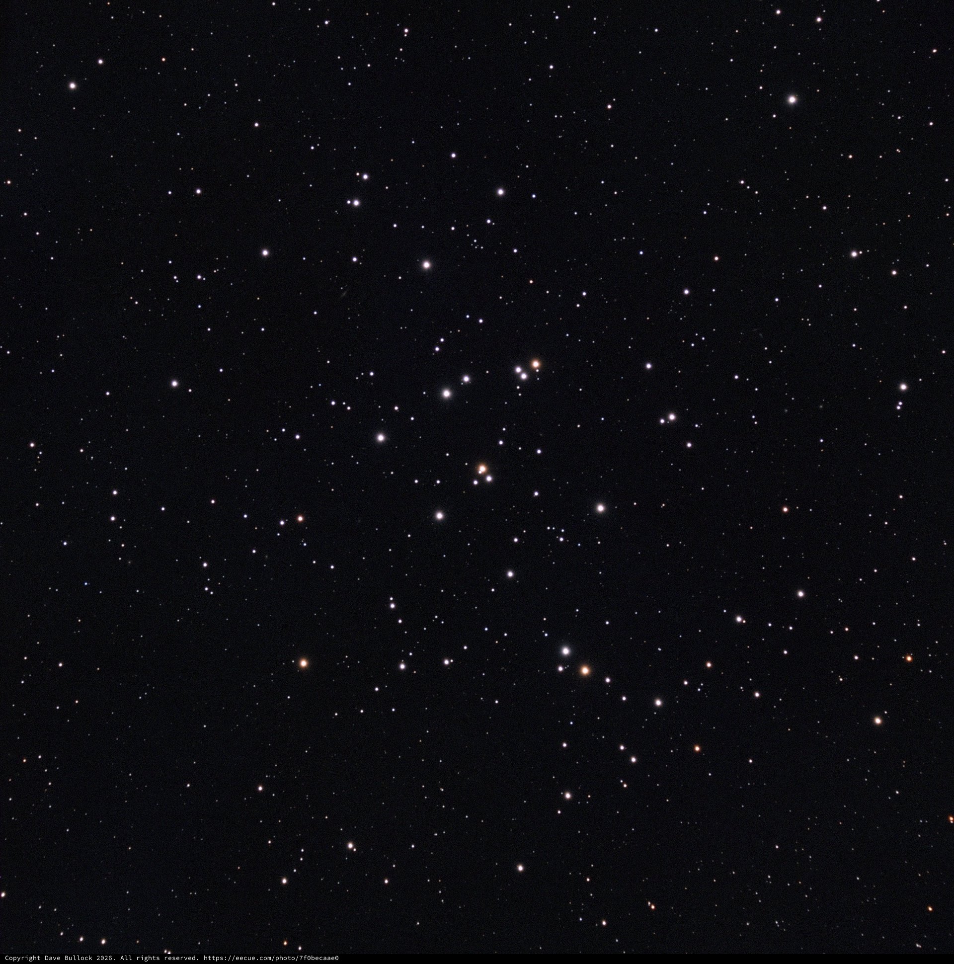 M44 Beehive Cluster in LRGB Narrowband Palette