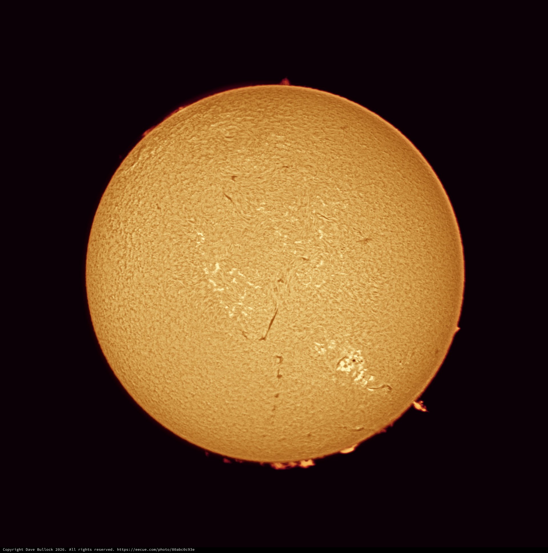 Solar Chromosphere in Stunning Hydrogen-Alpha Detail