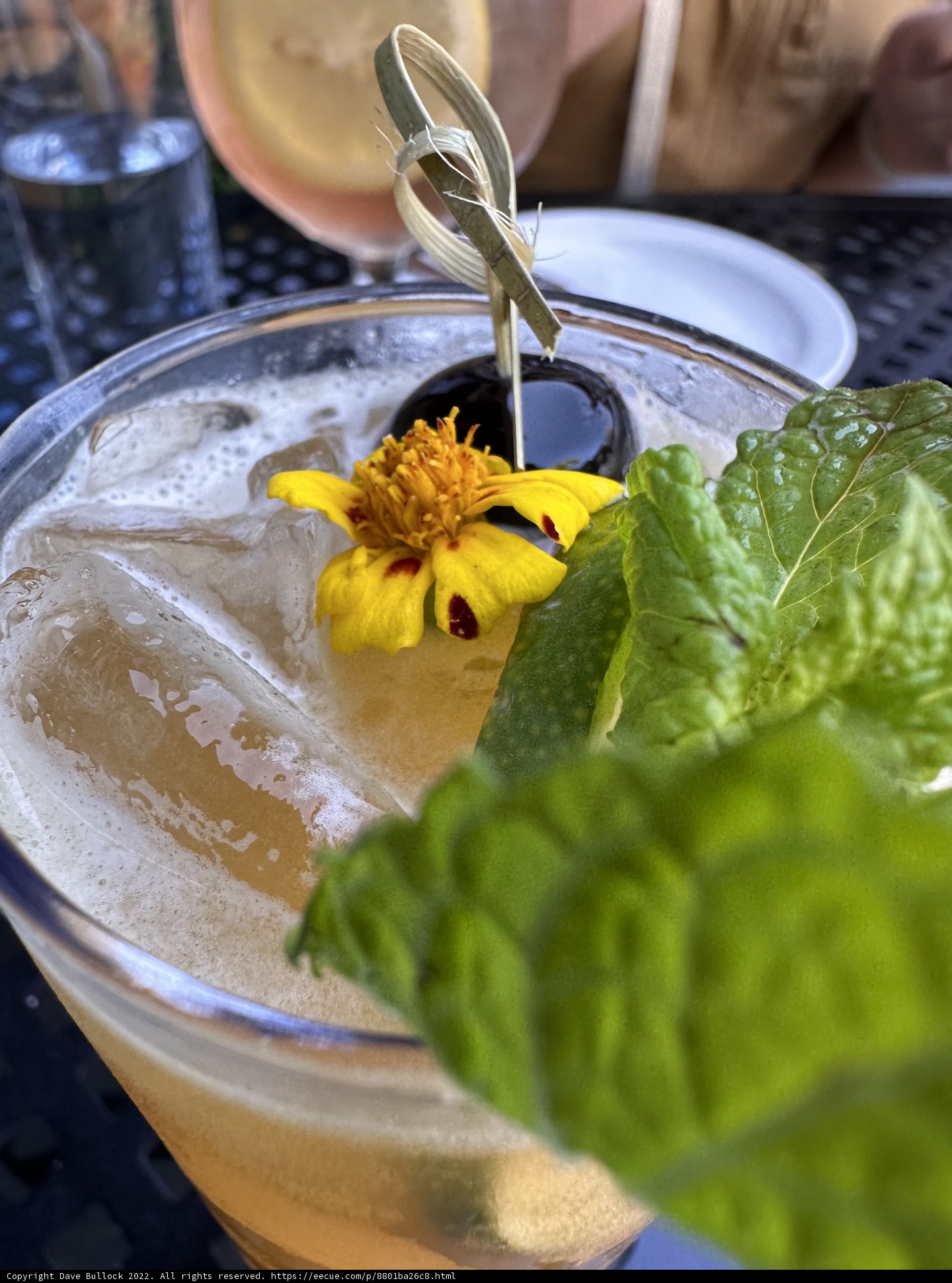Herbal Flower Mojito