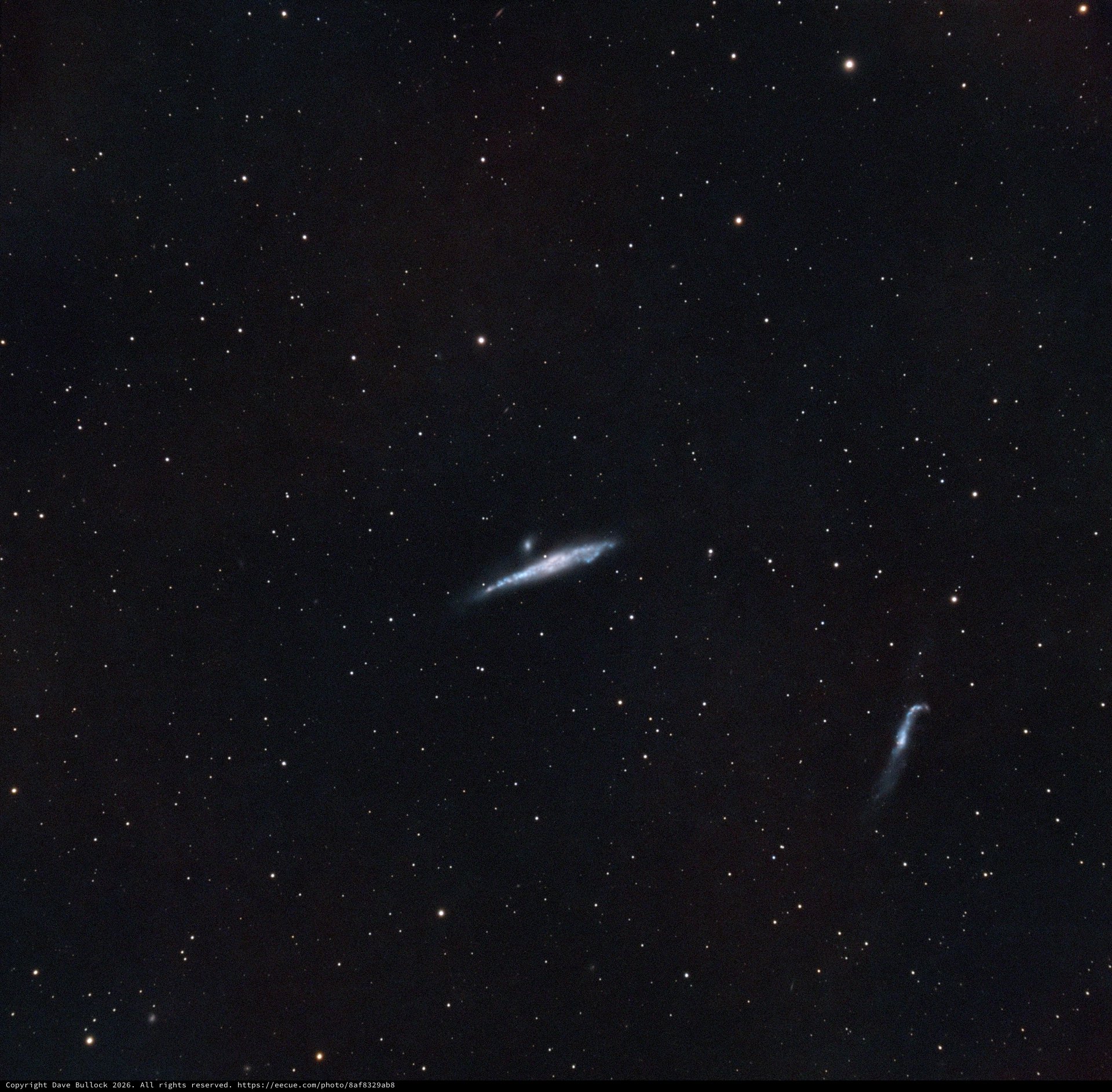 NGC 4631 - The Whale Galaxy in Deep Narrowband