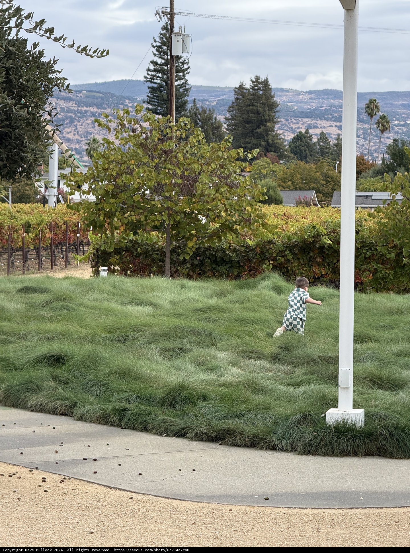 Running Through the Green