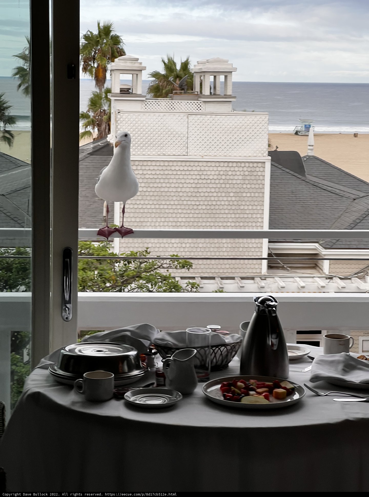 Brunch with a Bird