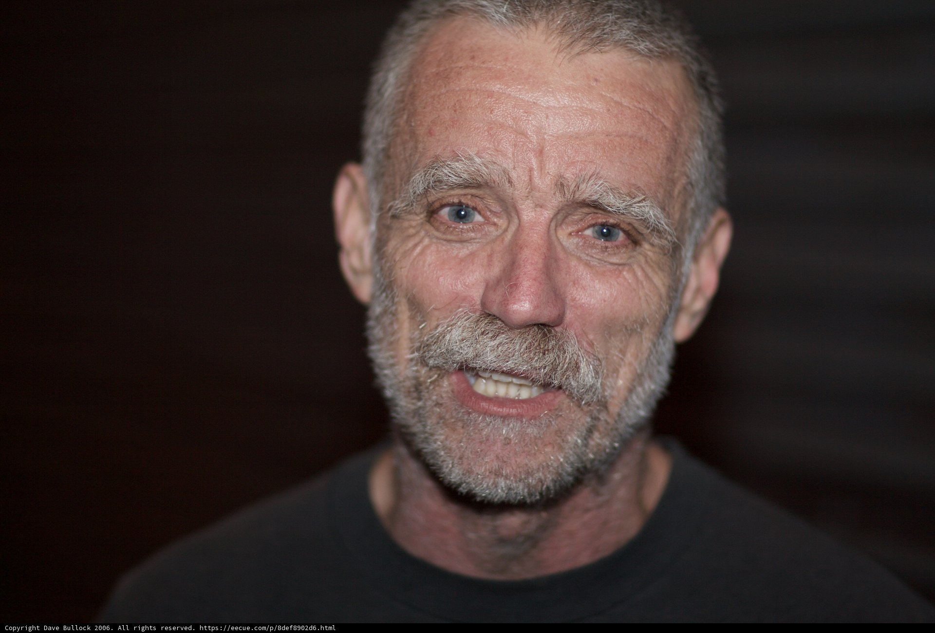 Brady W: A Portrait of a Happy Bearded Man