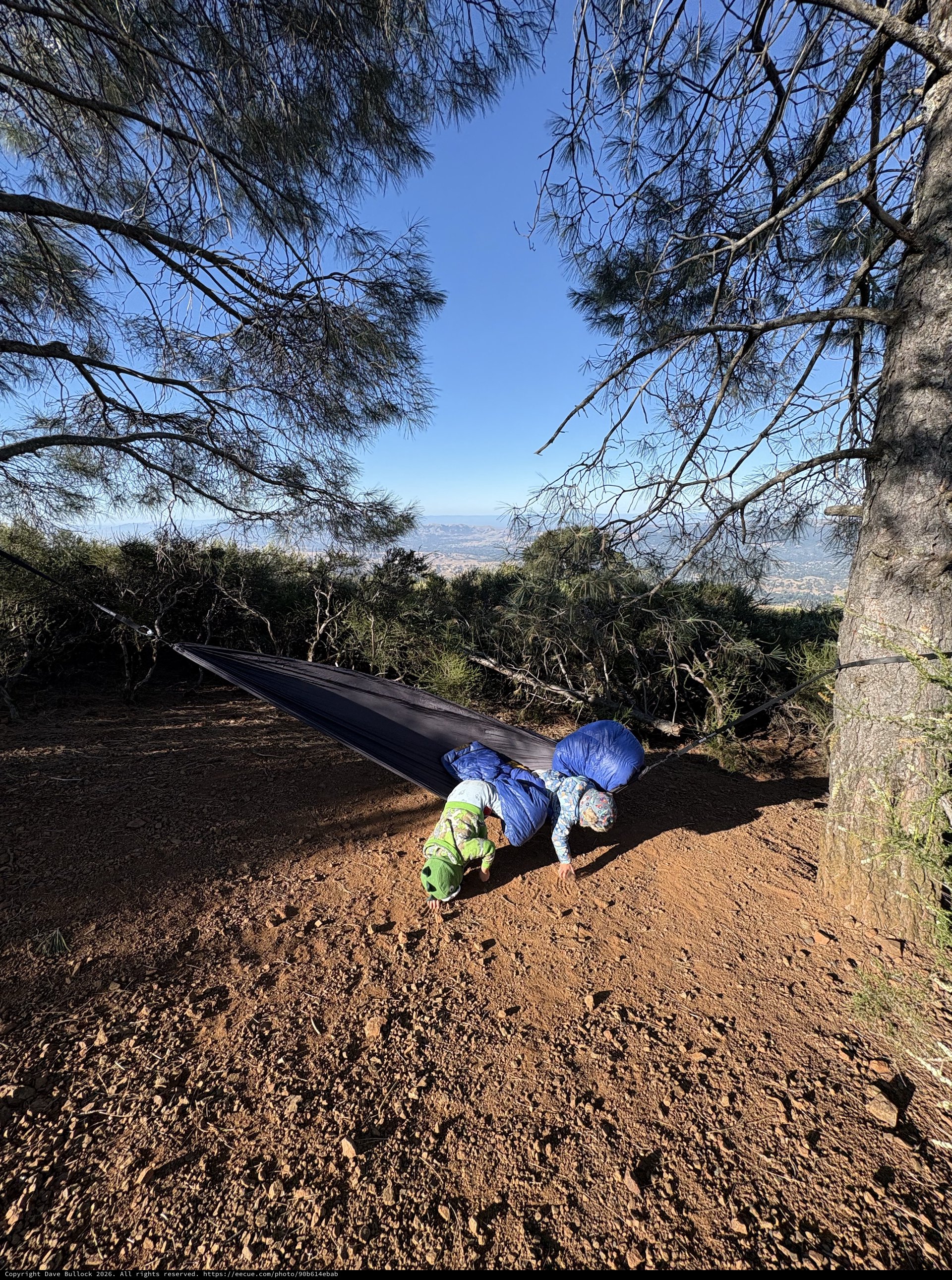 Child Tumbling Out of Hammock on Mountain Summit