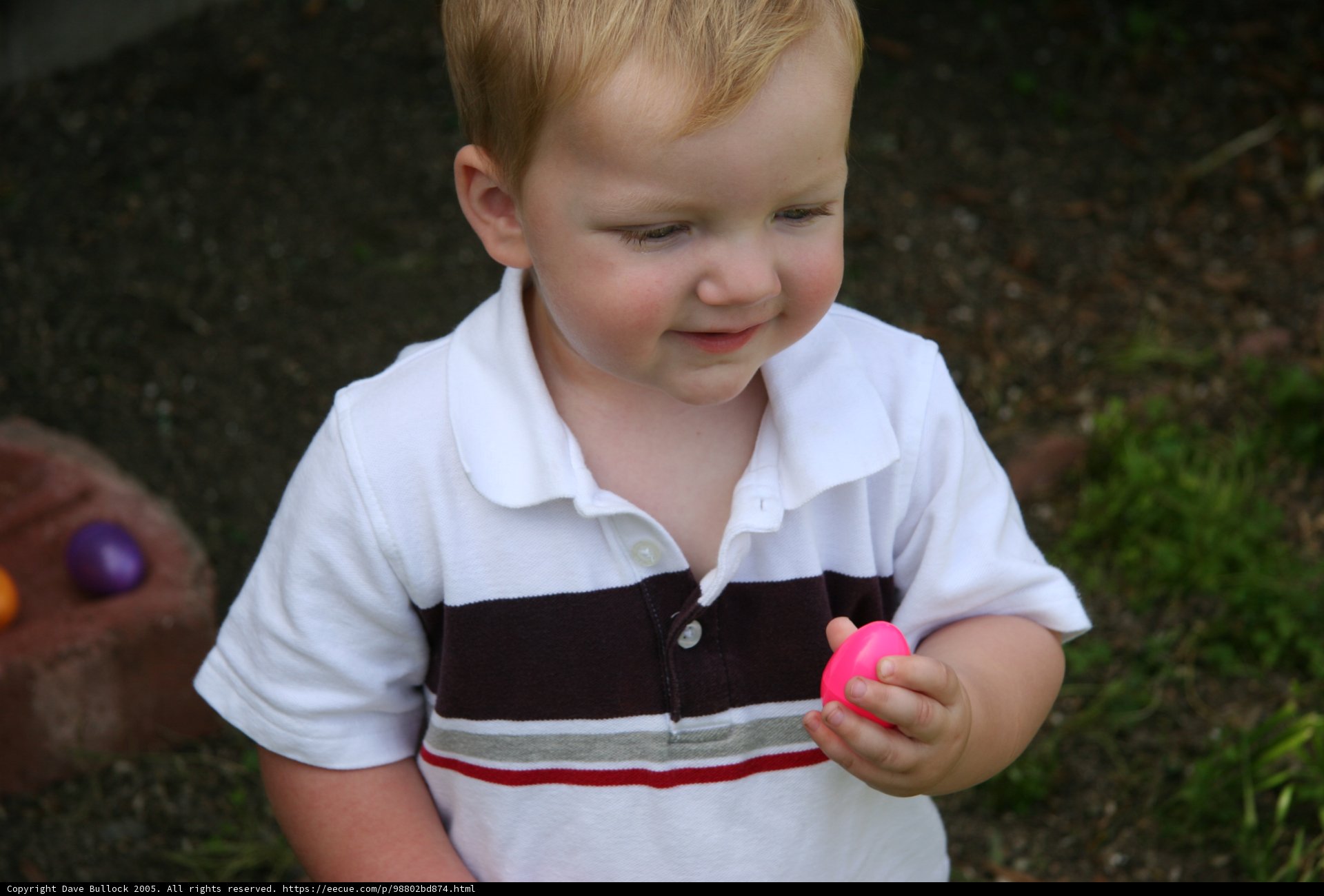 Little Boy's Easter Egg Surprise