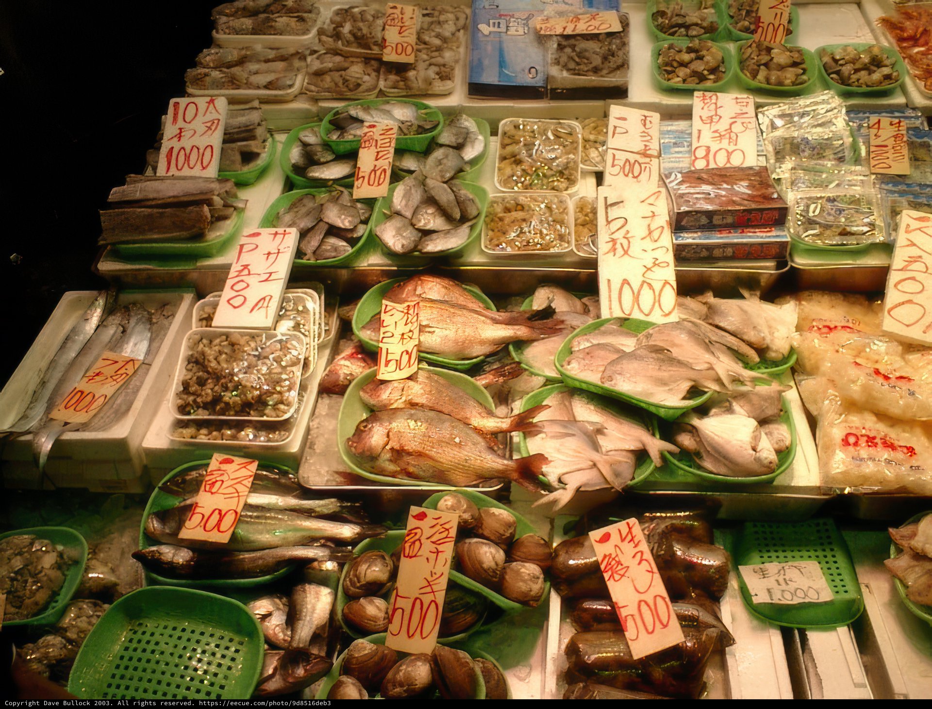 Seafood Delights at Tokyo Metropolitan Market