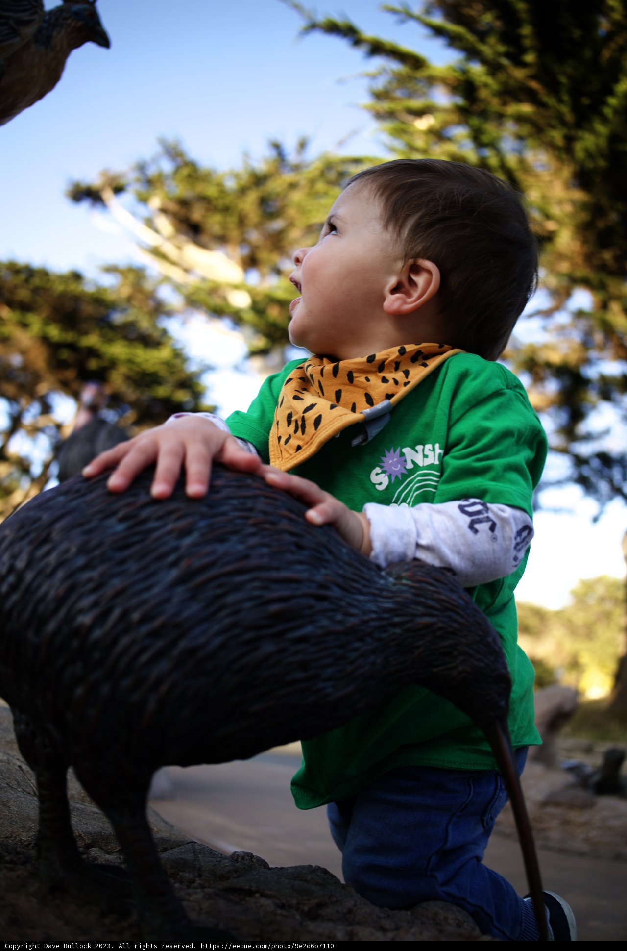 A Young Explorer's Fascination