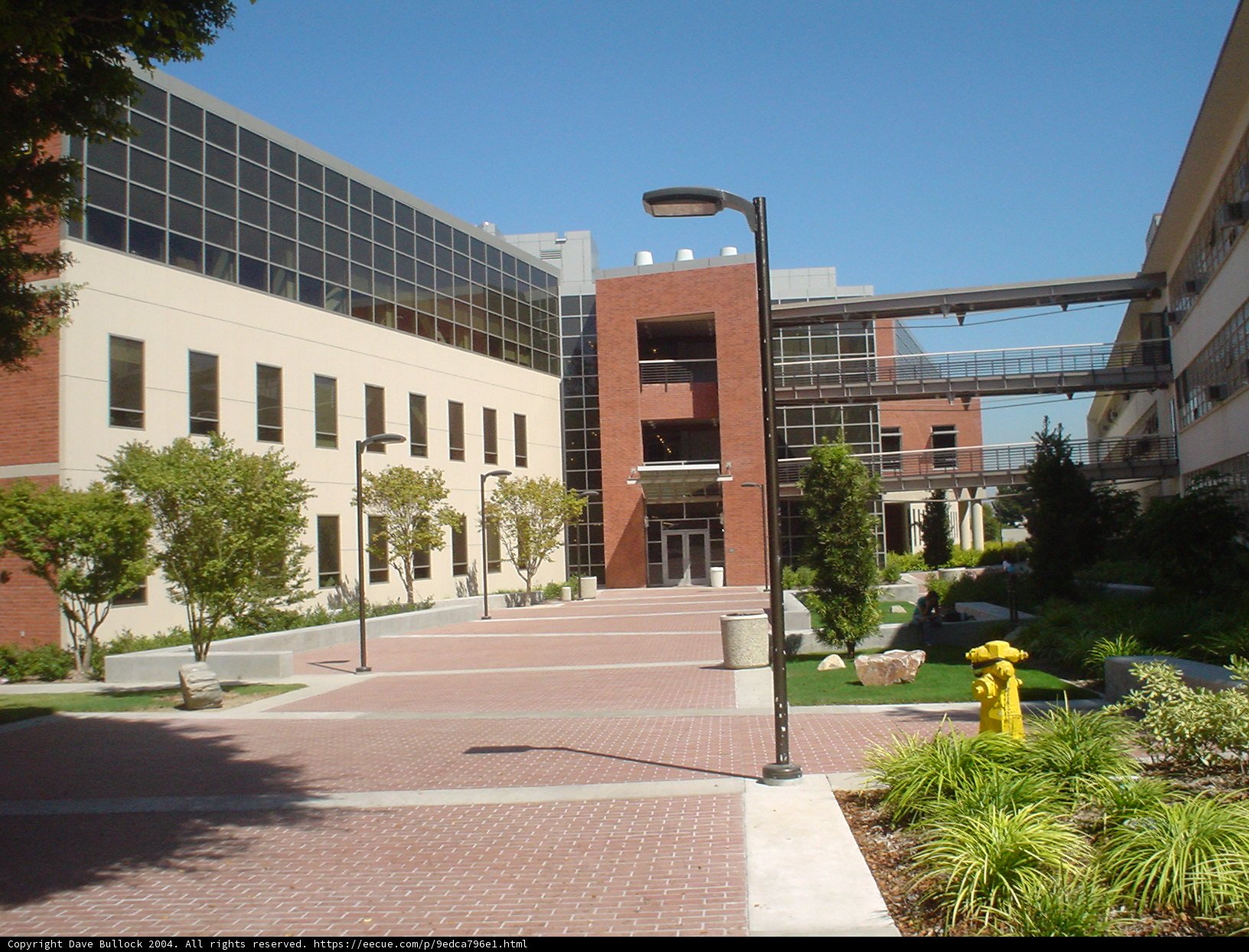 A Stroll Through Campus