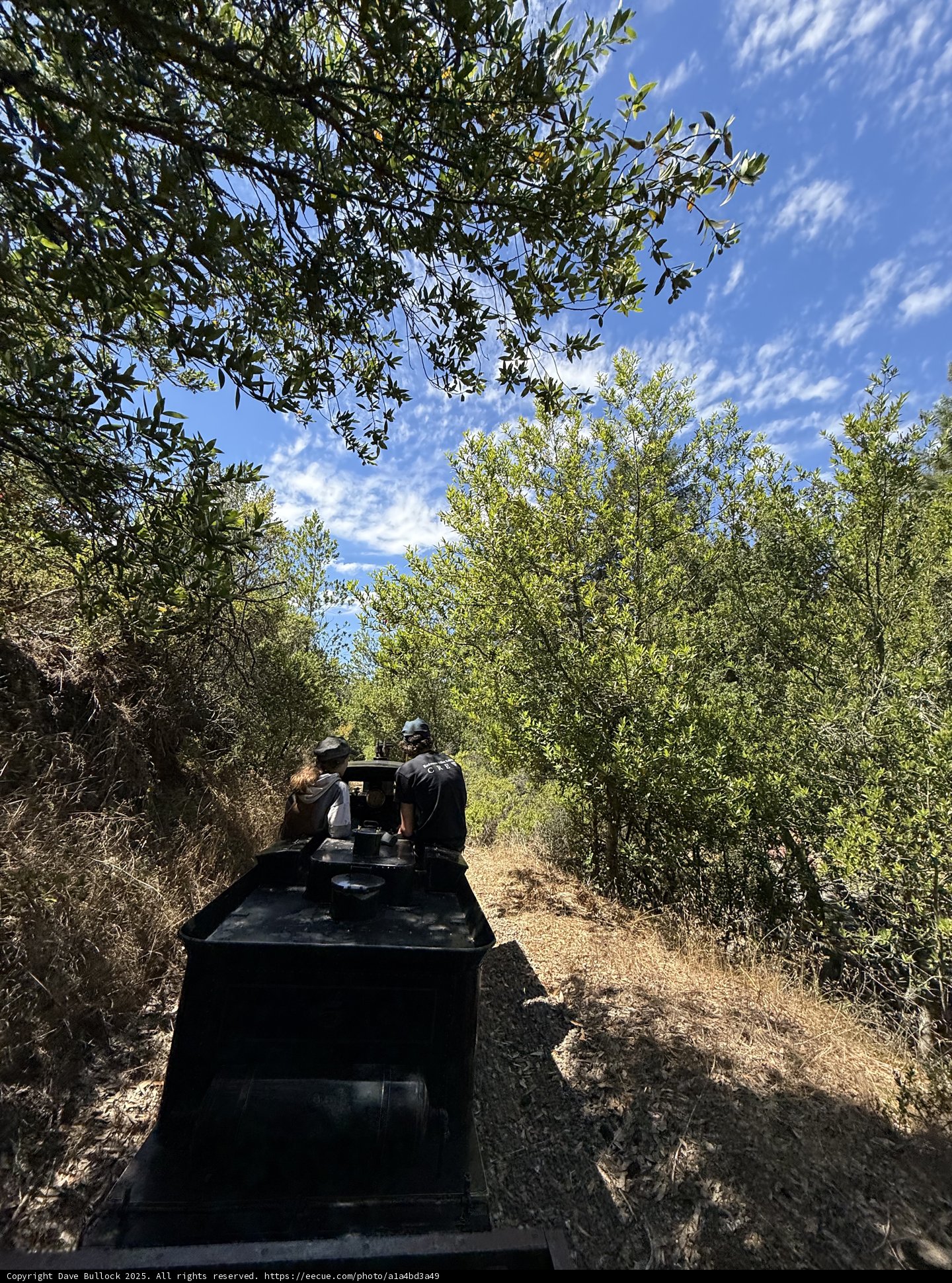 Exploring the Verdant Trails