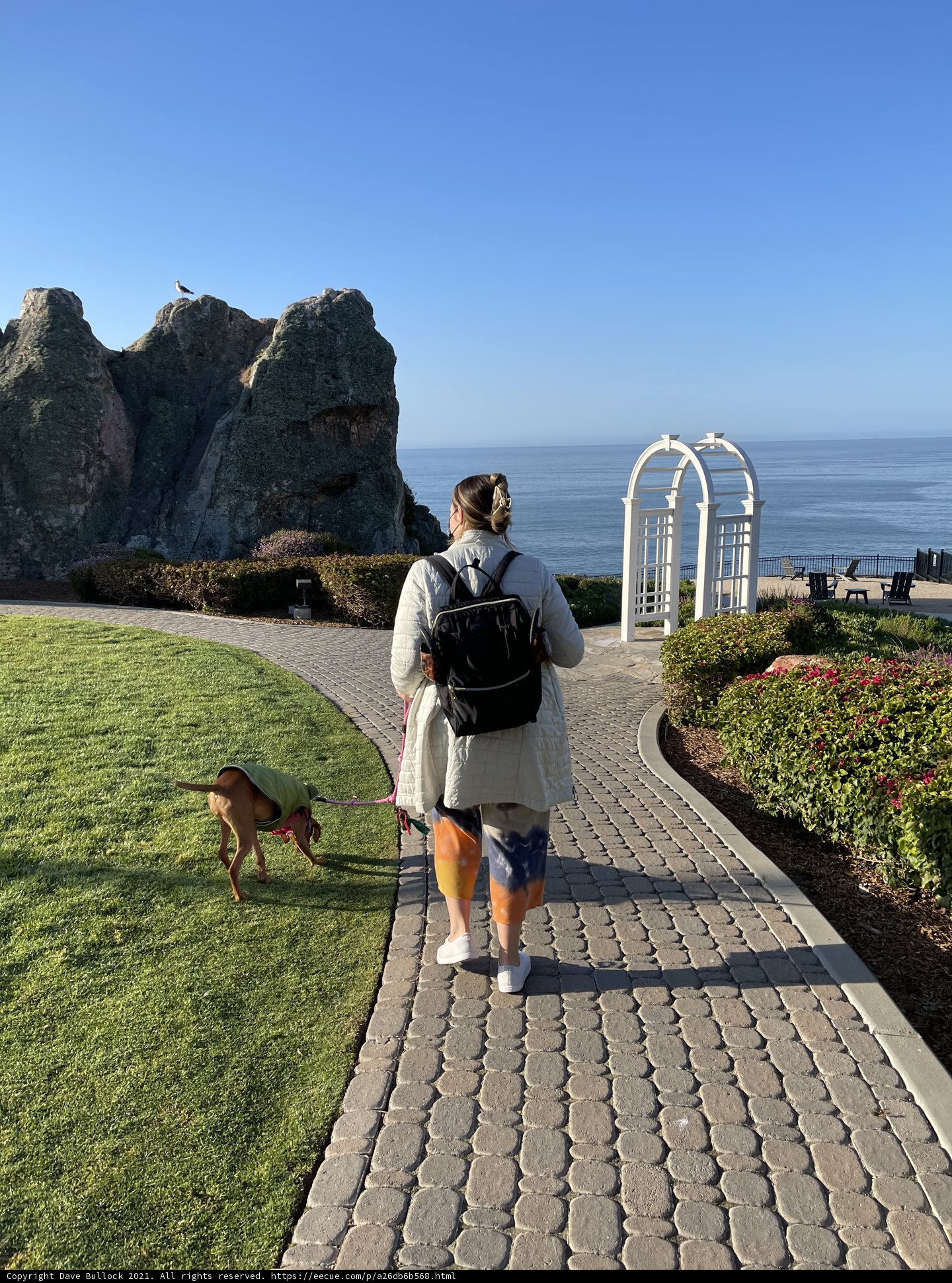 Walking by the Ocean
