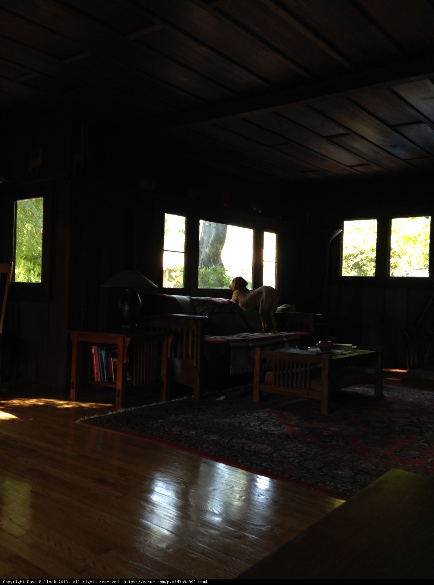 Cozy Living Room Setup