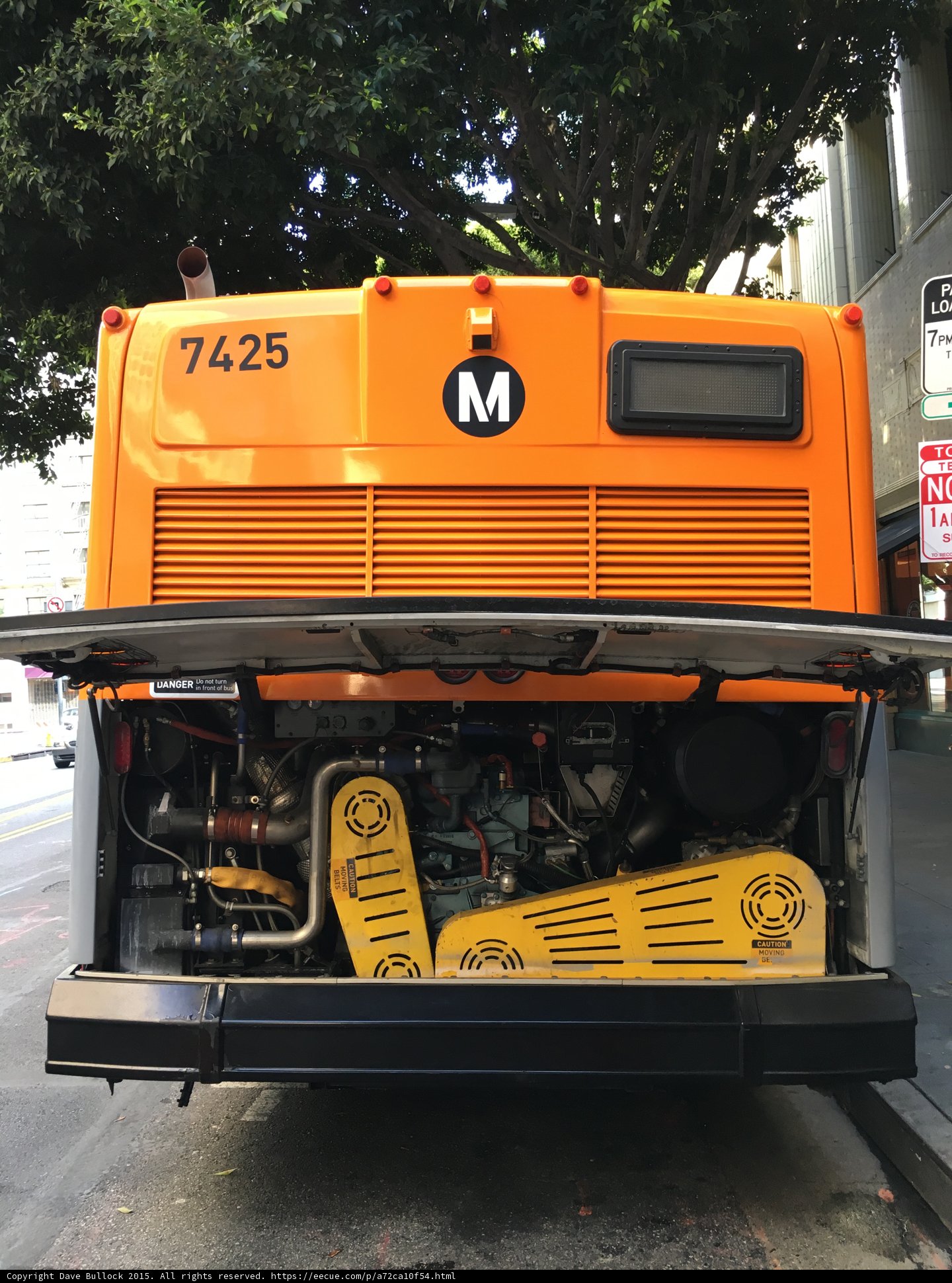 Powerful Plant on Wheels