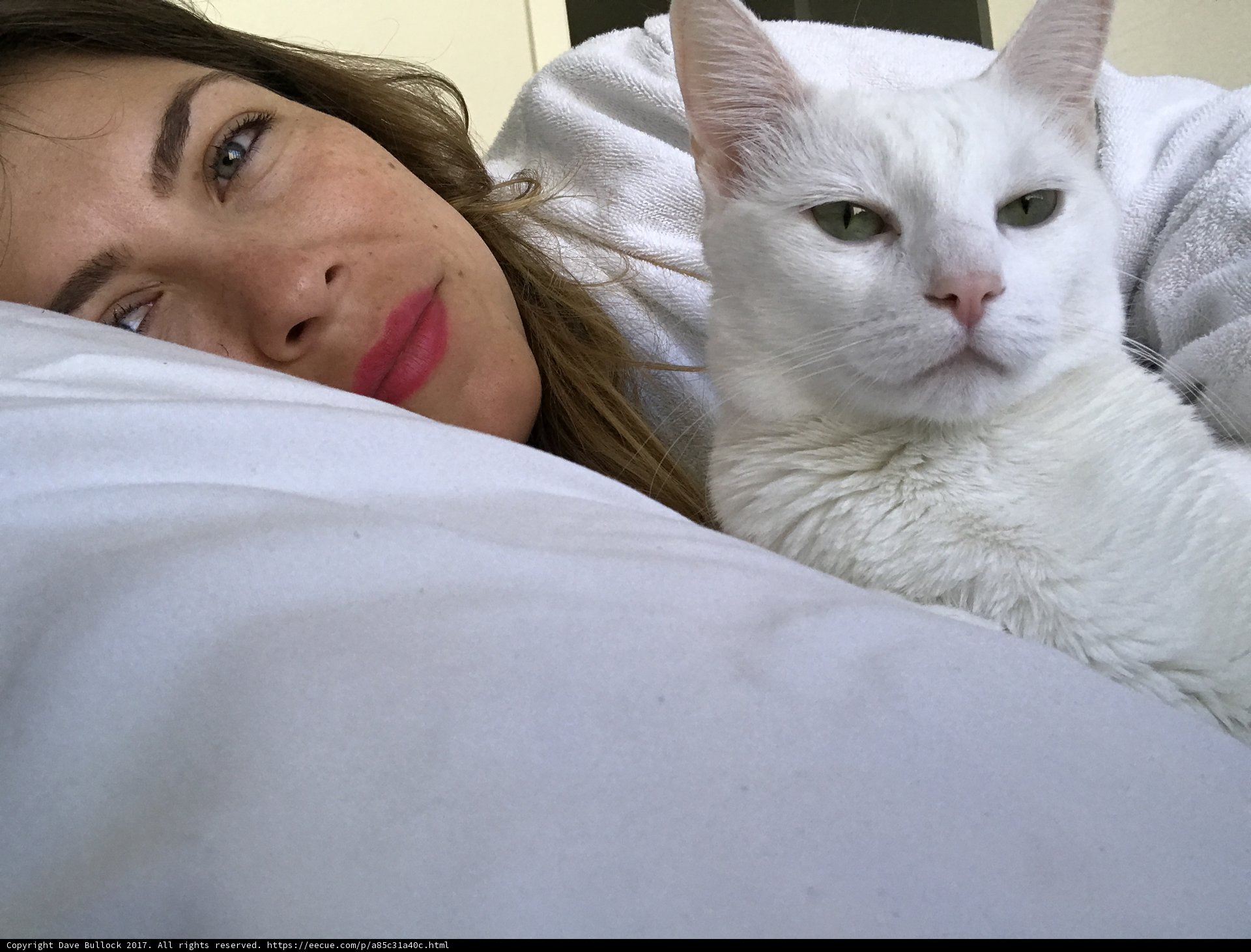 Cozy Morning with My Feline Friend