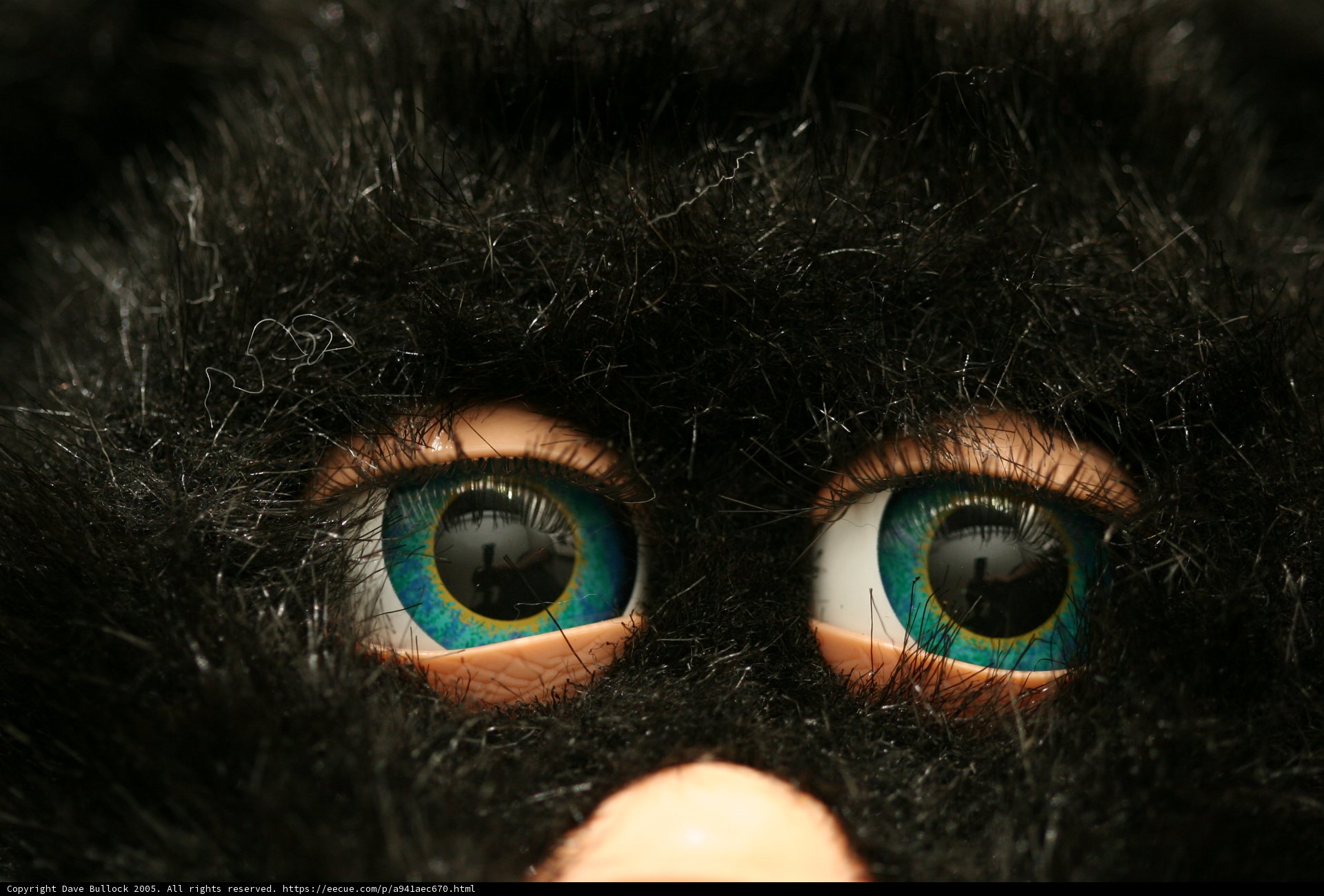 Blue-Eyed Black Cat Stuffed Animal
