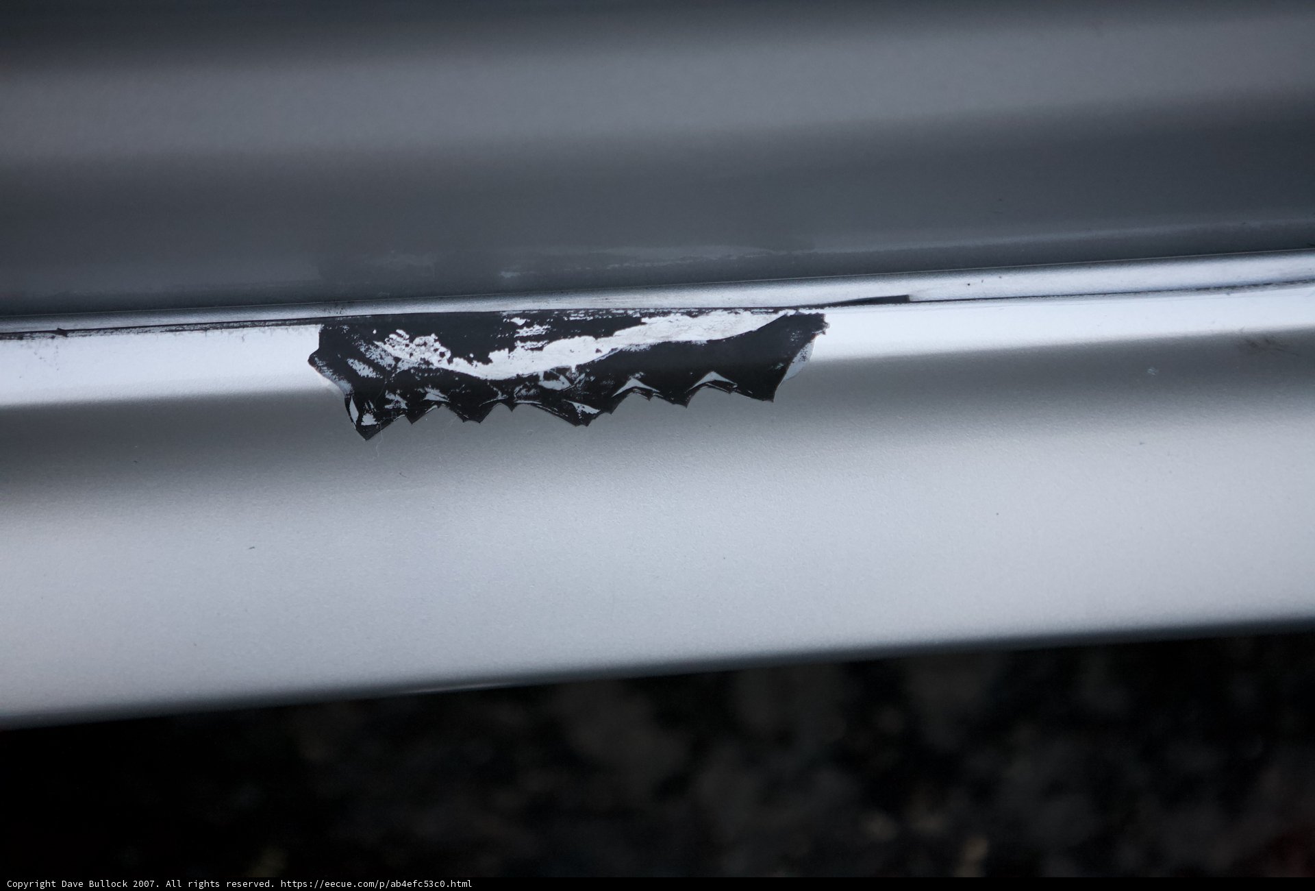 Bumper Sticker Beauty