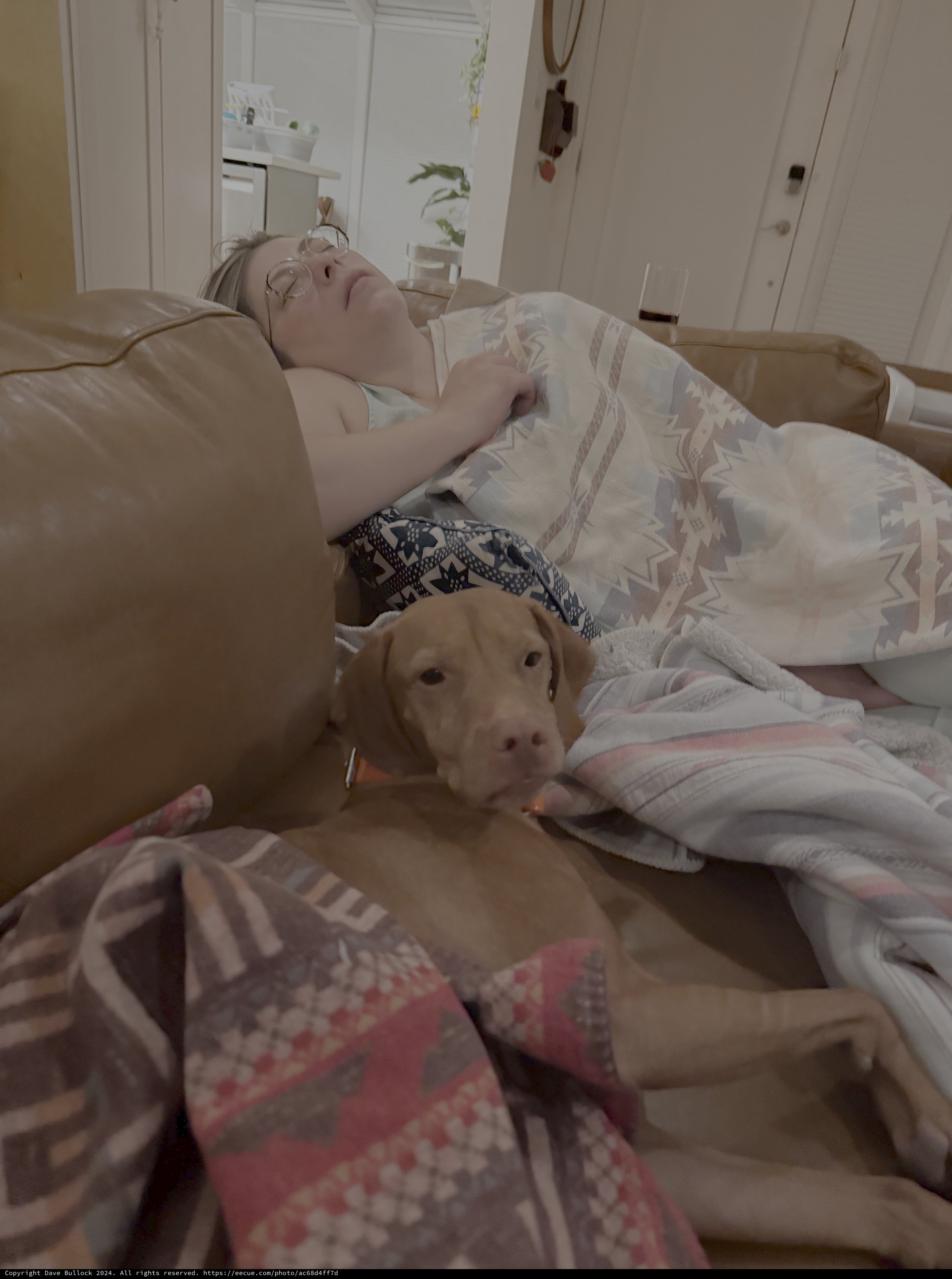 Peaceful Morning Rest with Beloved Dog