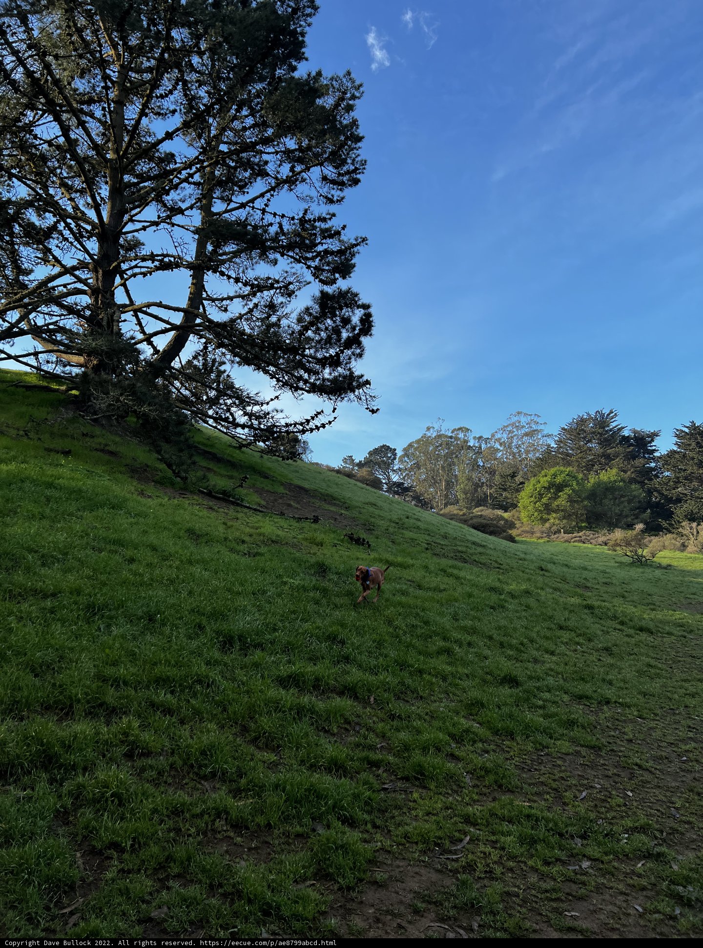 A Walk on the Hill