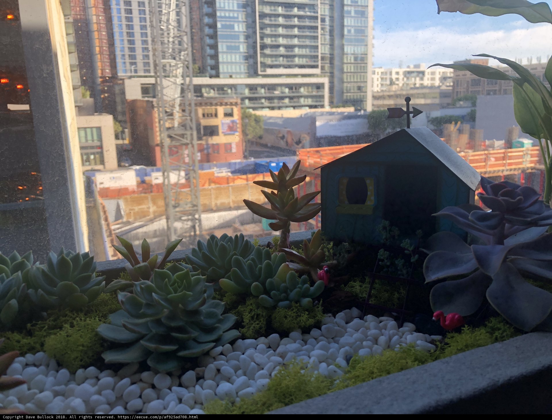 Serene House among City Scapes