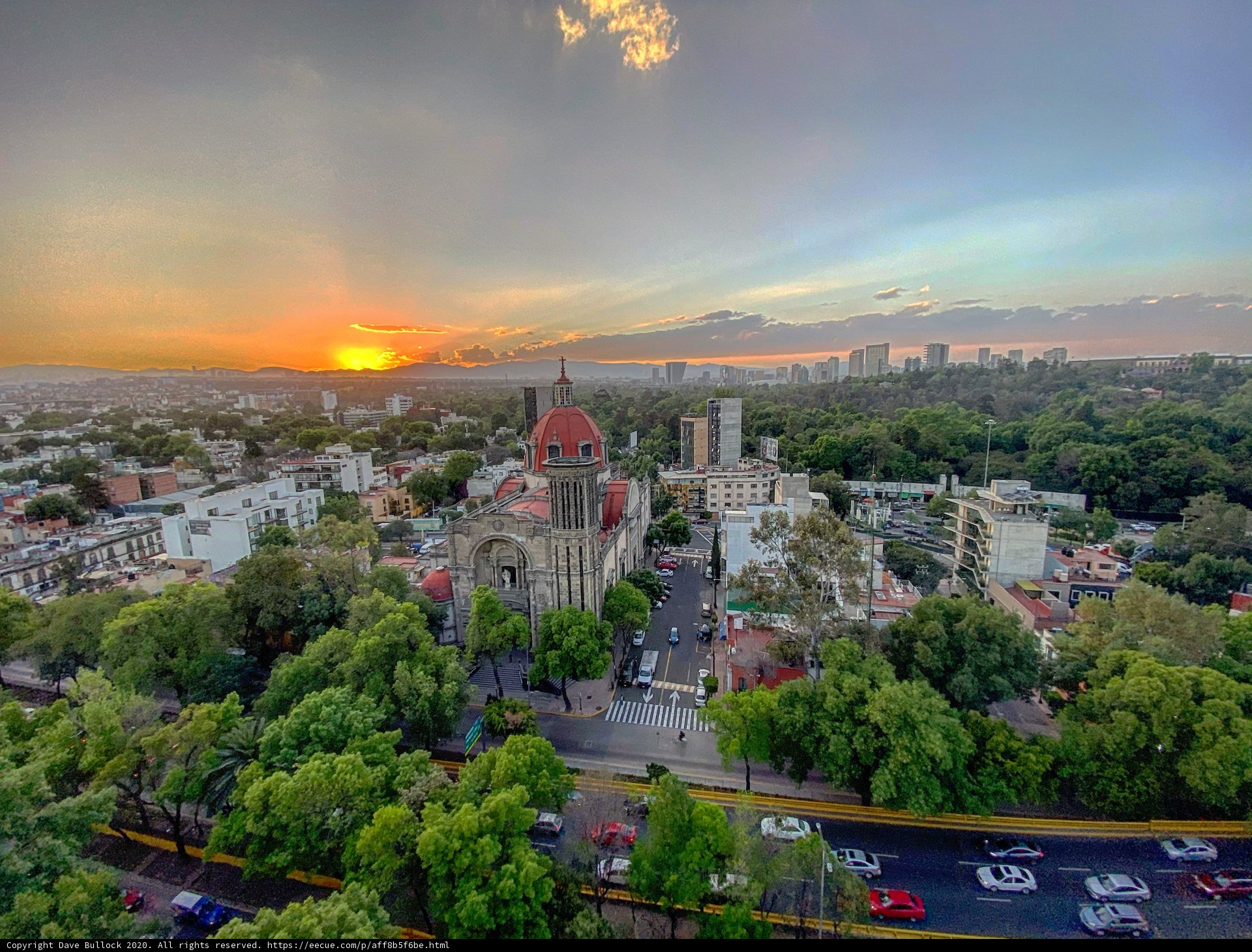 Twilight in the Urban Jungle
