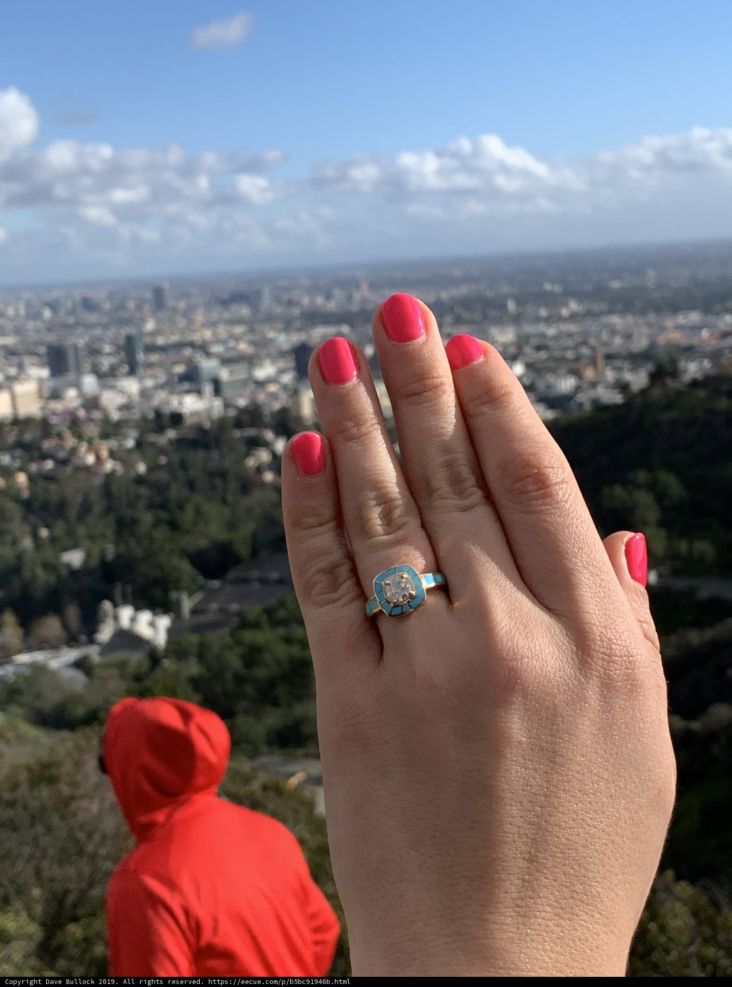 City View Diamond Ring