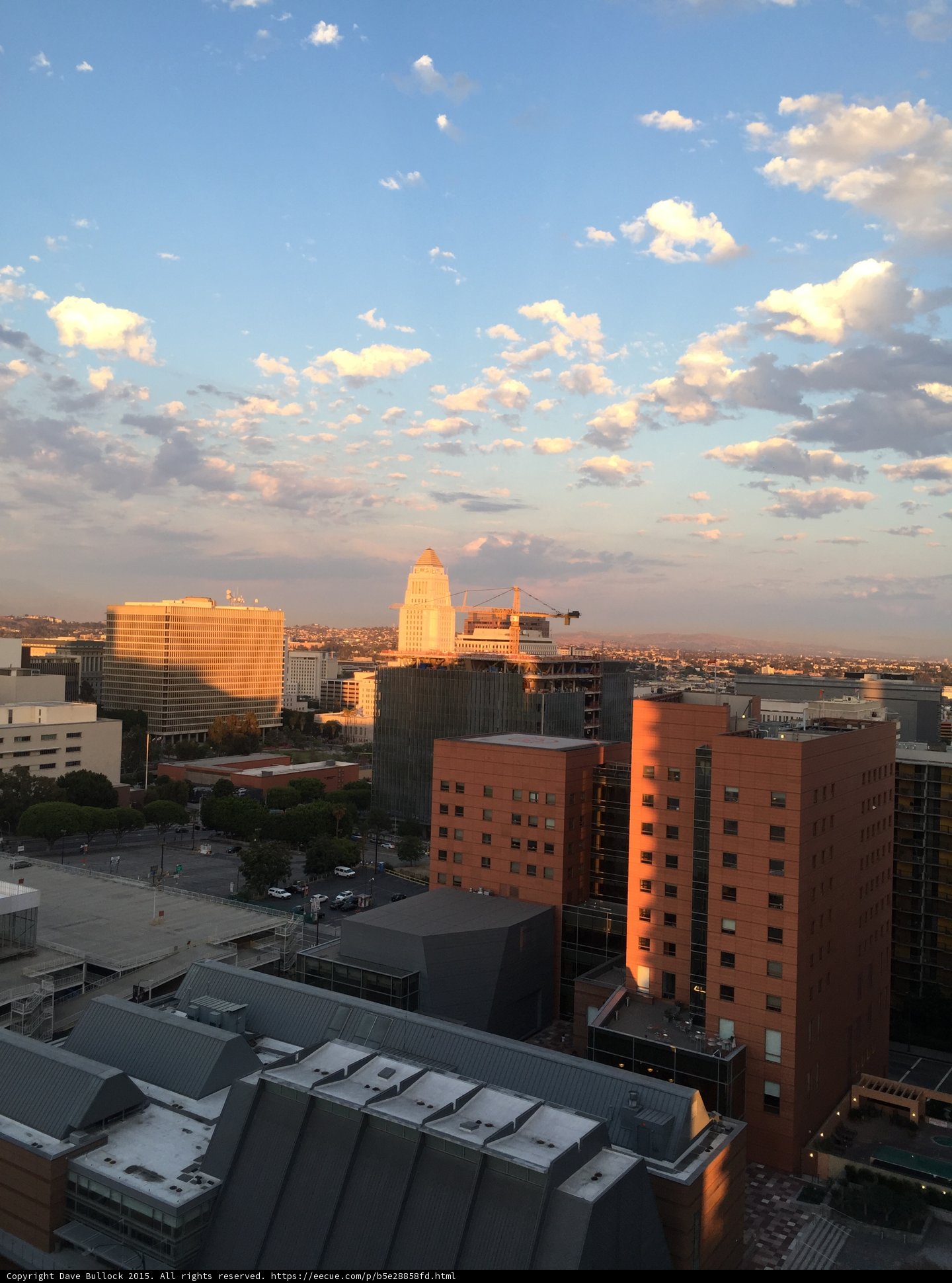 Overlooking the Urban Metropolis