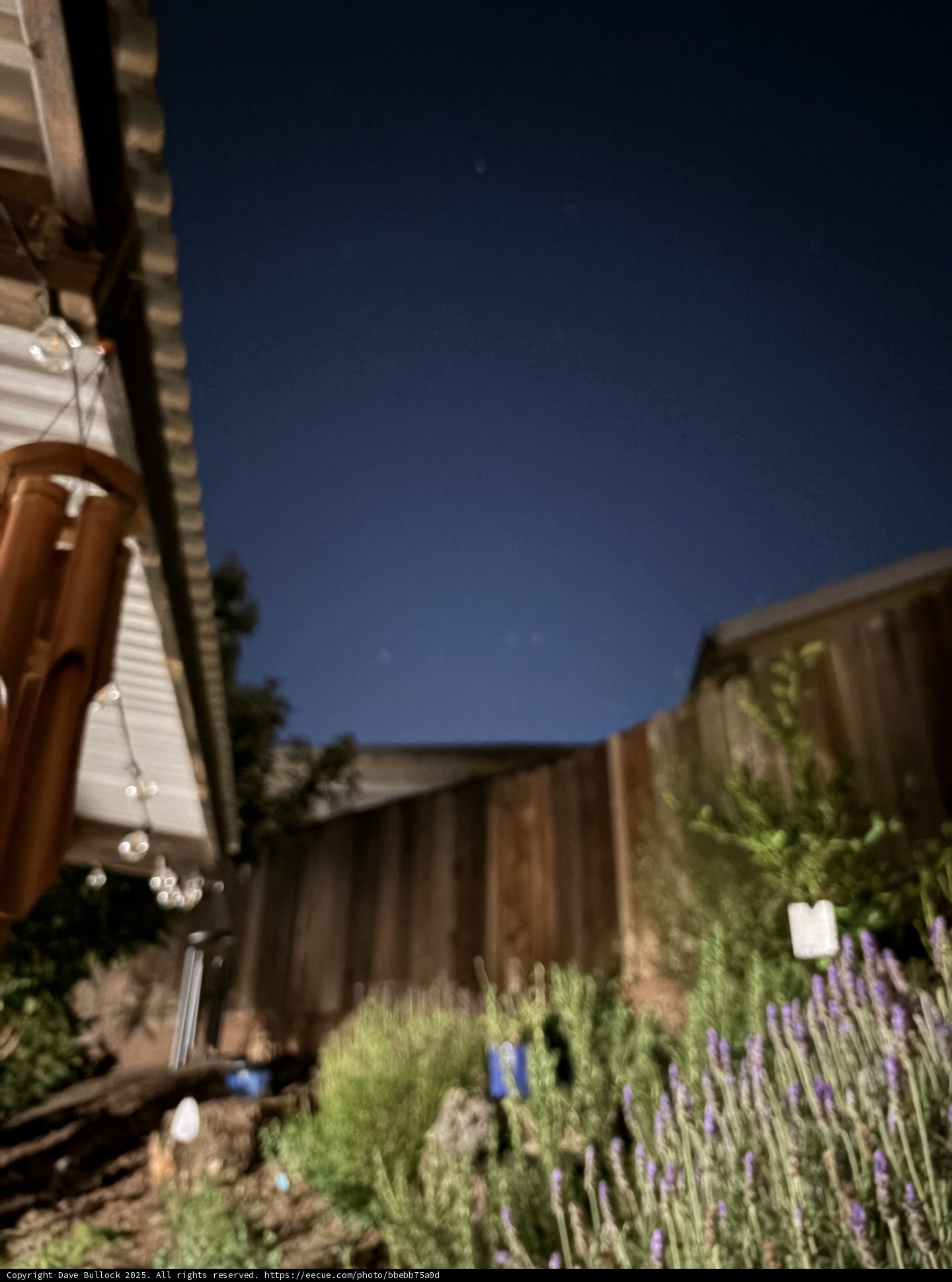 Twilight Whispers in the Garden