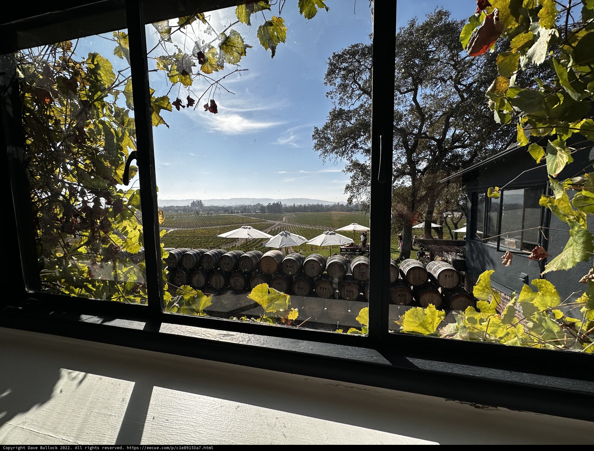 The Vineyard Sanctuary