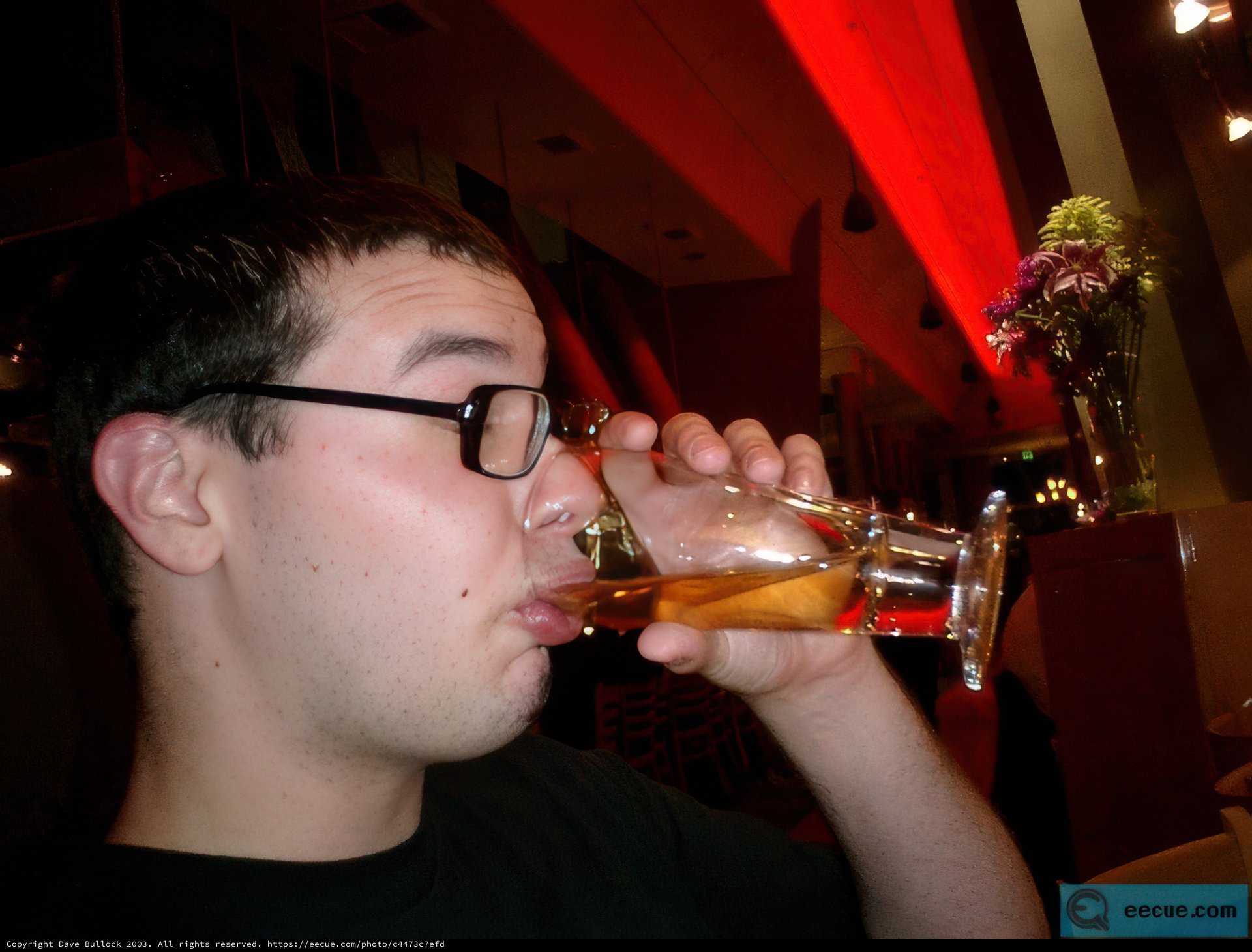 Cheers to the Good Life